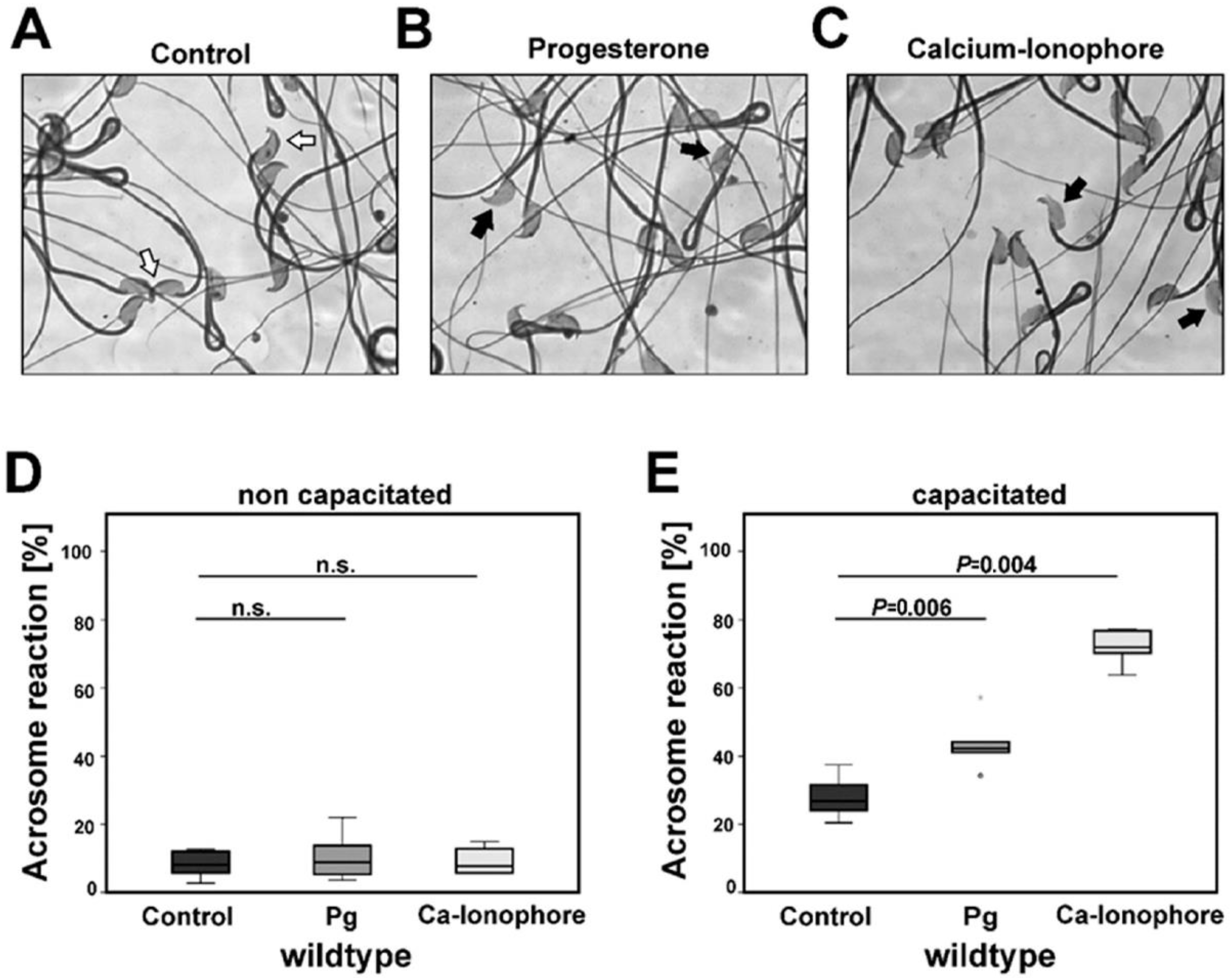 Ijms 23 09907 g001 Ijms 23 09907 g001