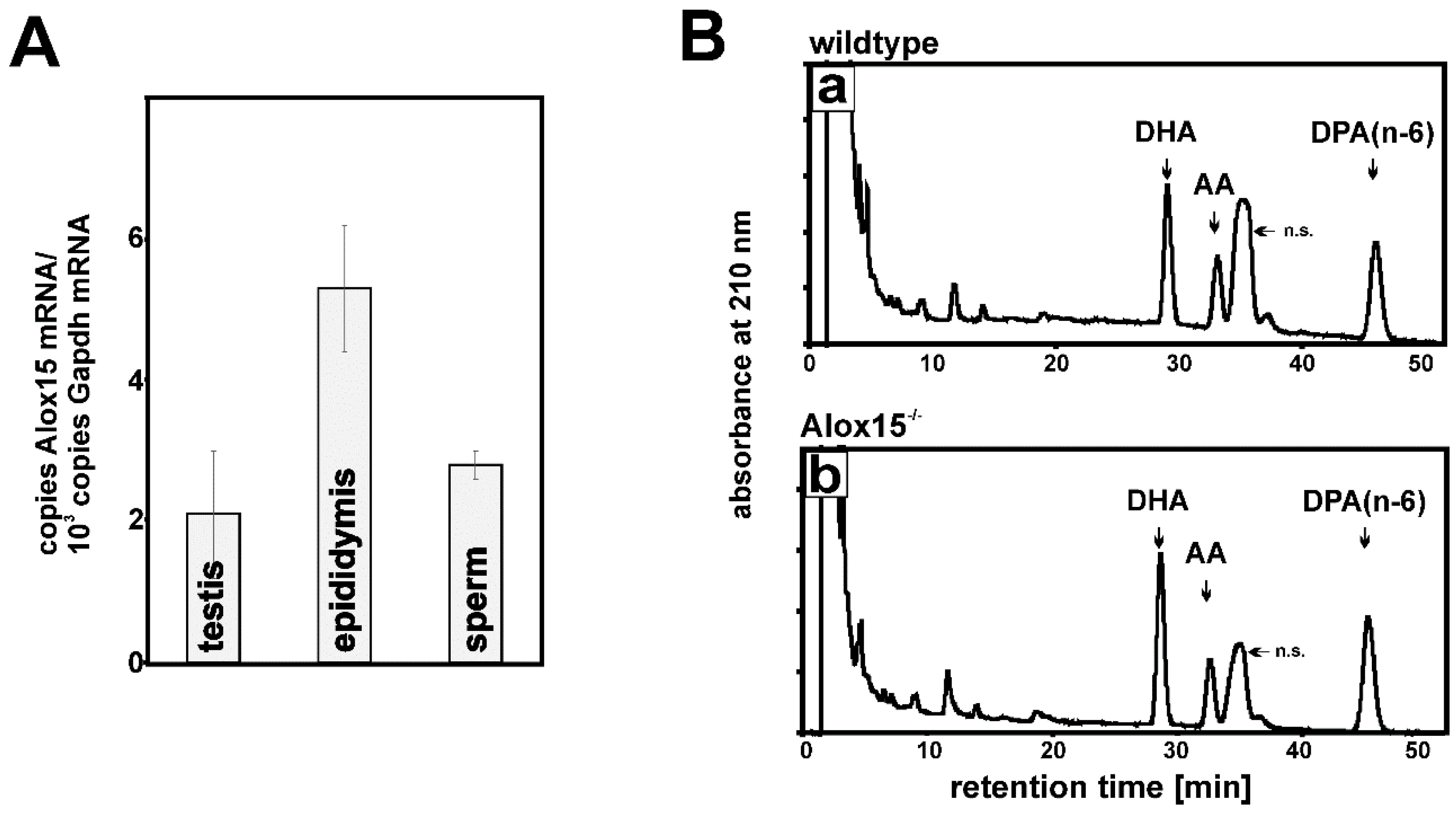 Ijms 23 09907 g003 Ijms 23 09907 g003