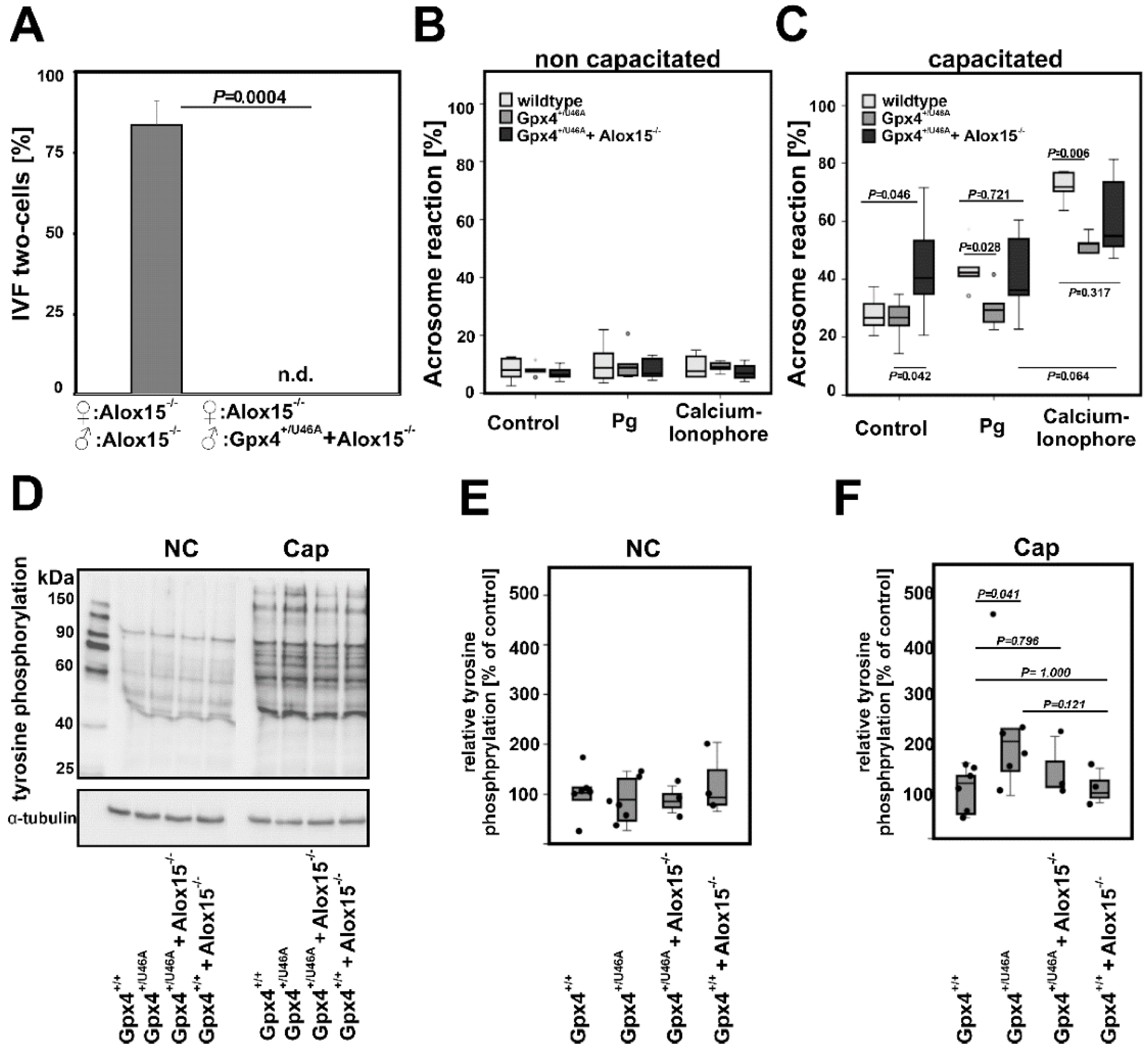 Ijms 23 09907 g006 Ijms 23 09907 g006