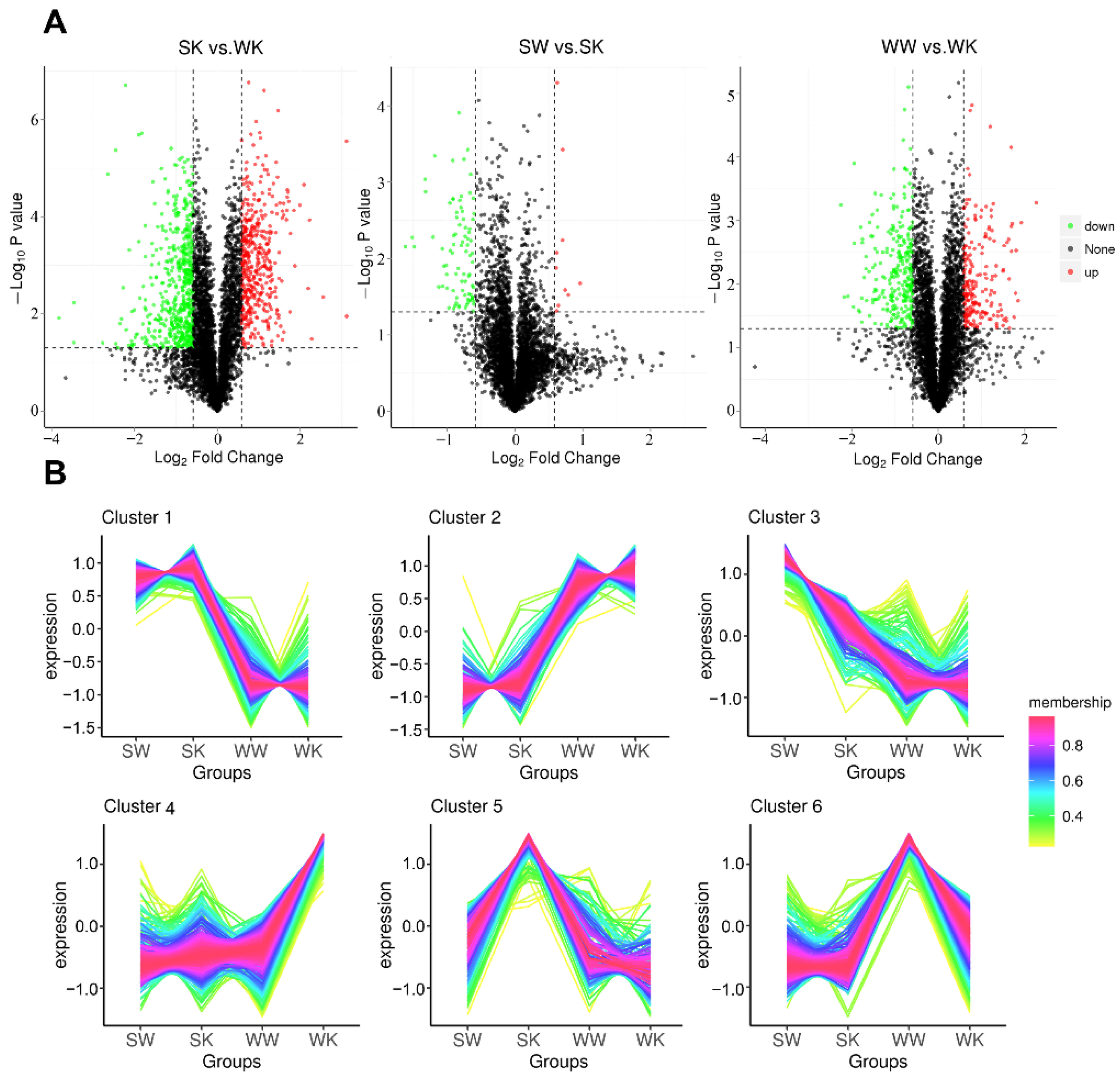Ijms 23 09908 g002 550