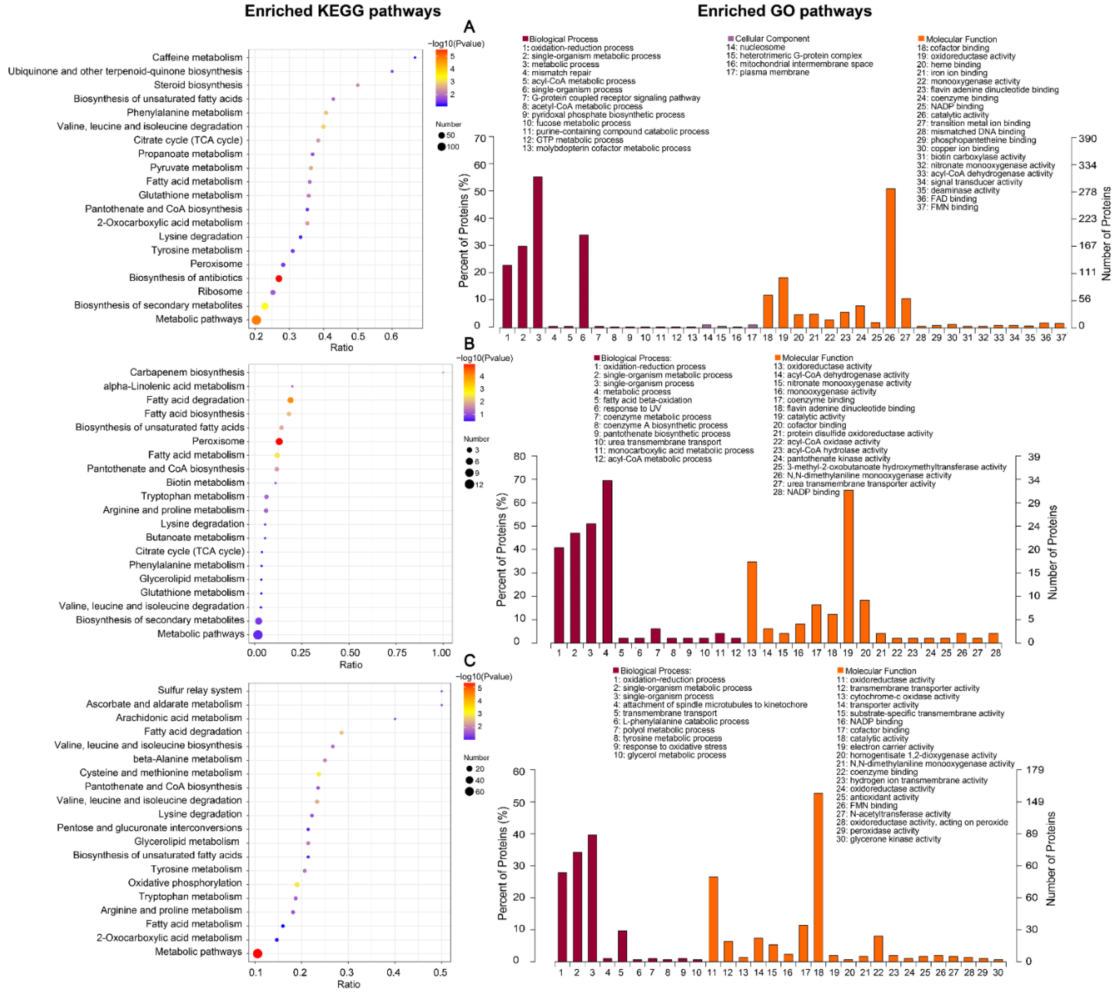 Ijms 23 09908 g003 550