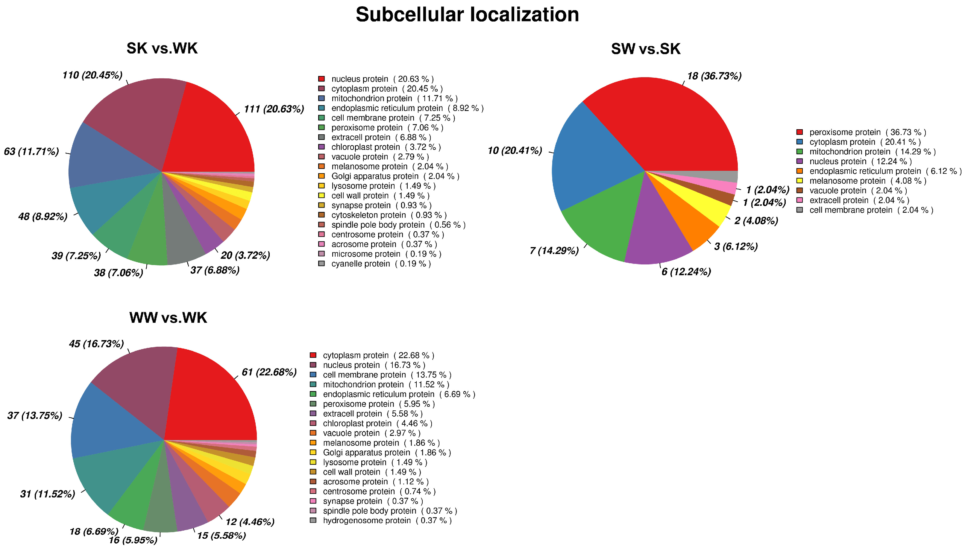 Ijms 23 09908 g005 550