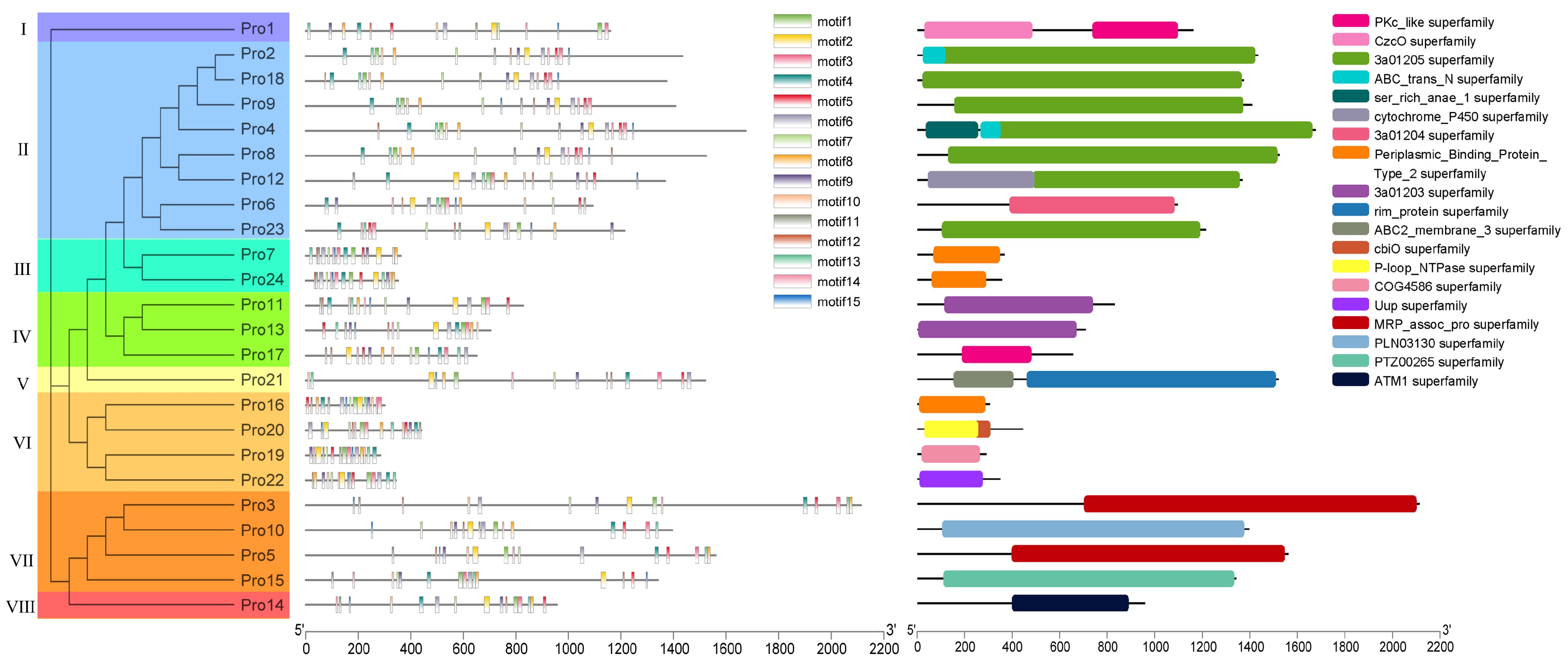 Ijms 23 09908 g006 550