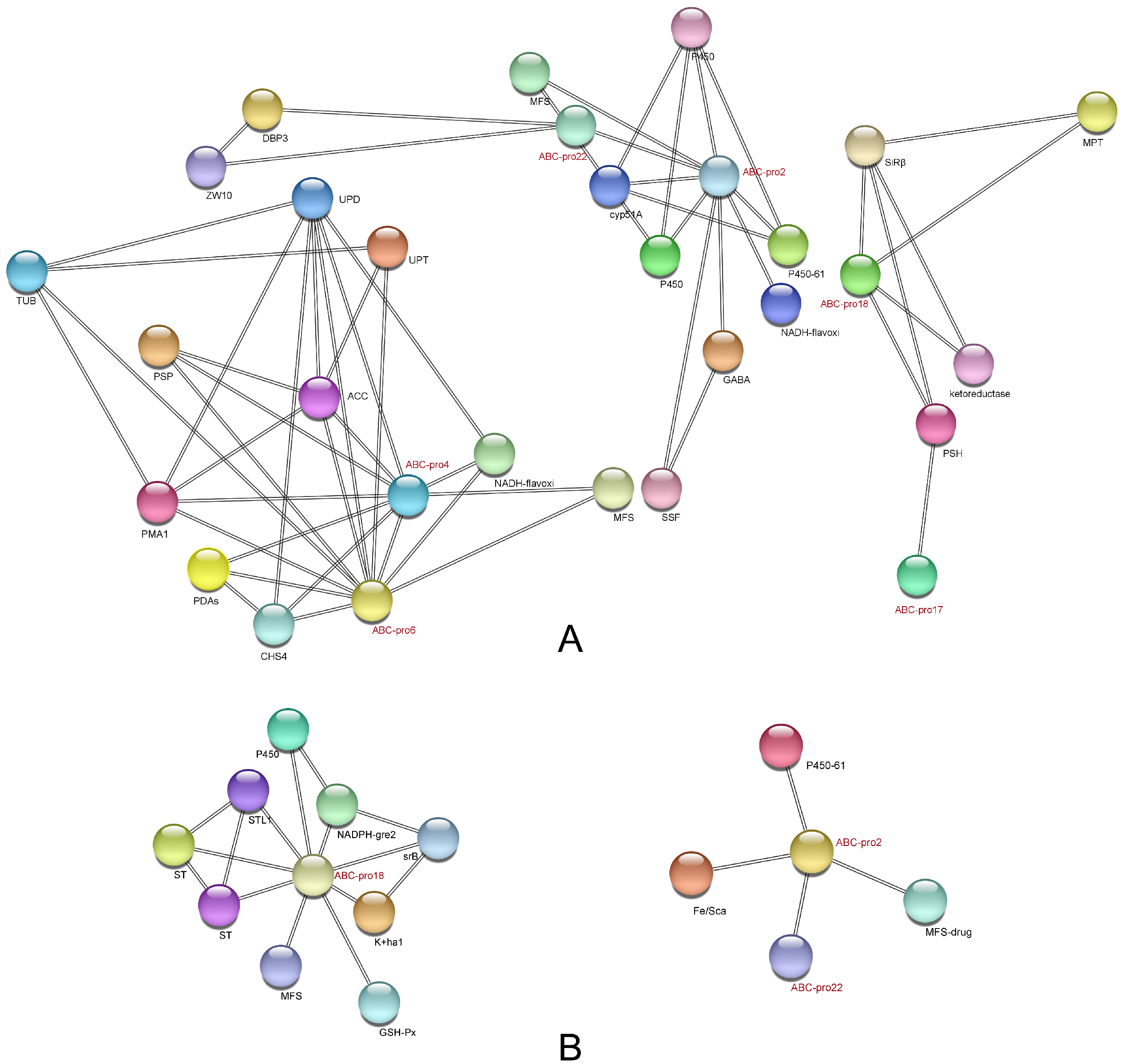 Ijms 23 09908 g008 550