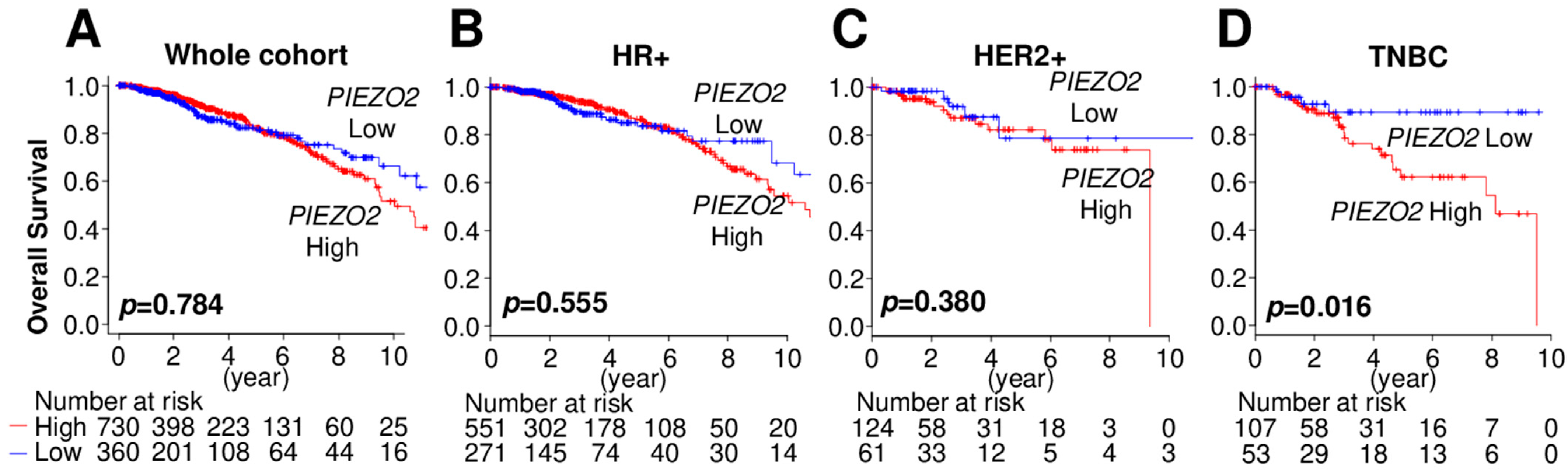 Ijms 23 09909 g001 550