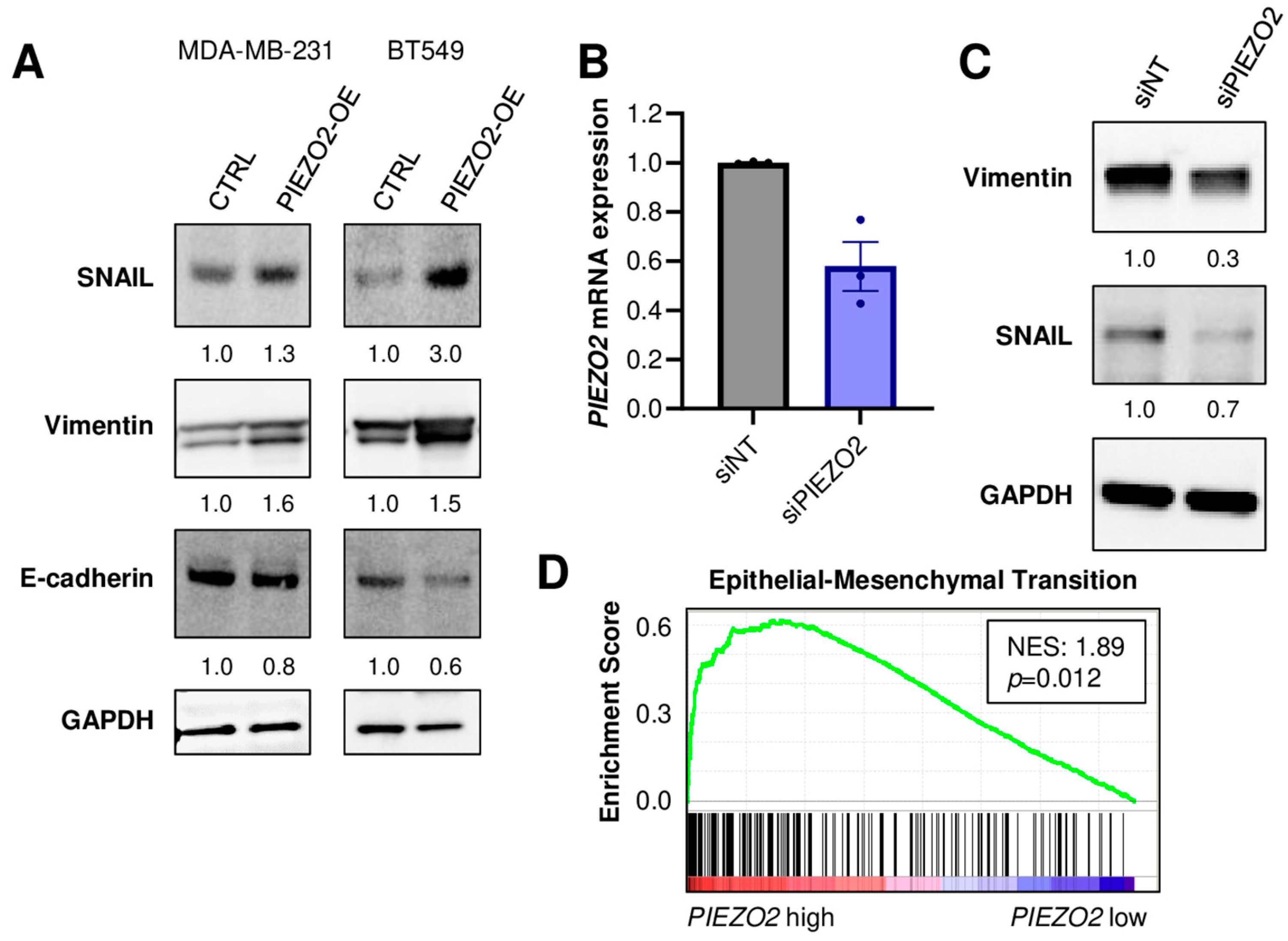 Ijms 23 09909 g003 550