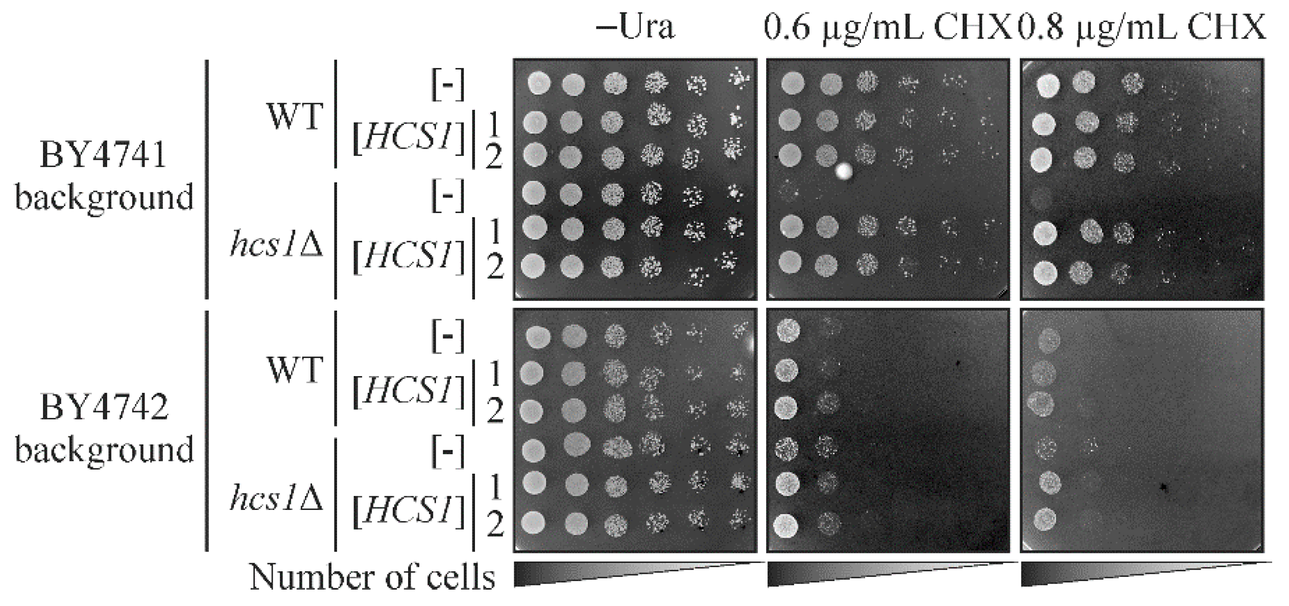 Ijms 23 09913 g002 550