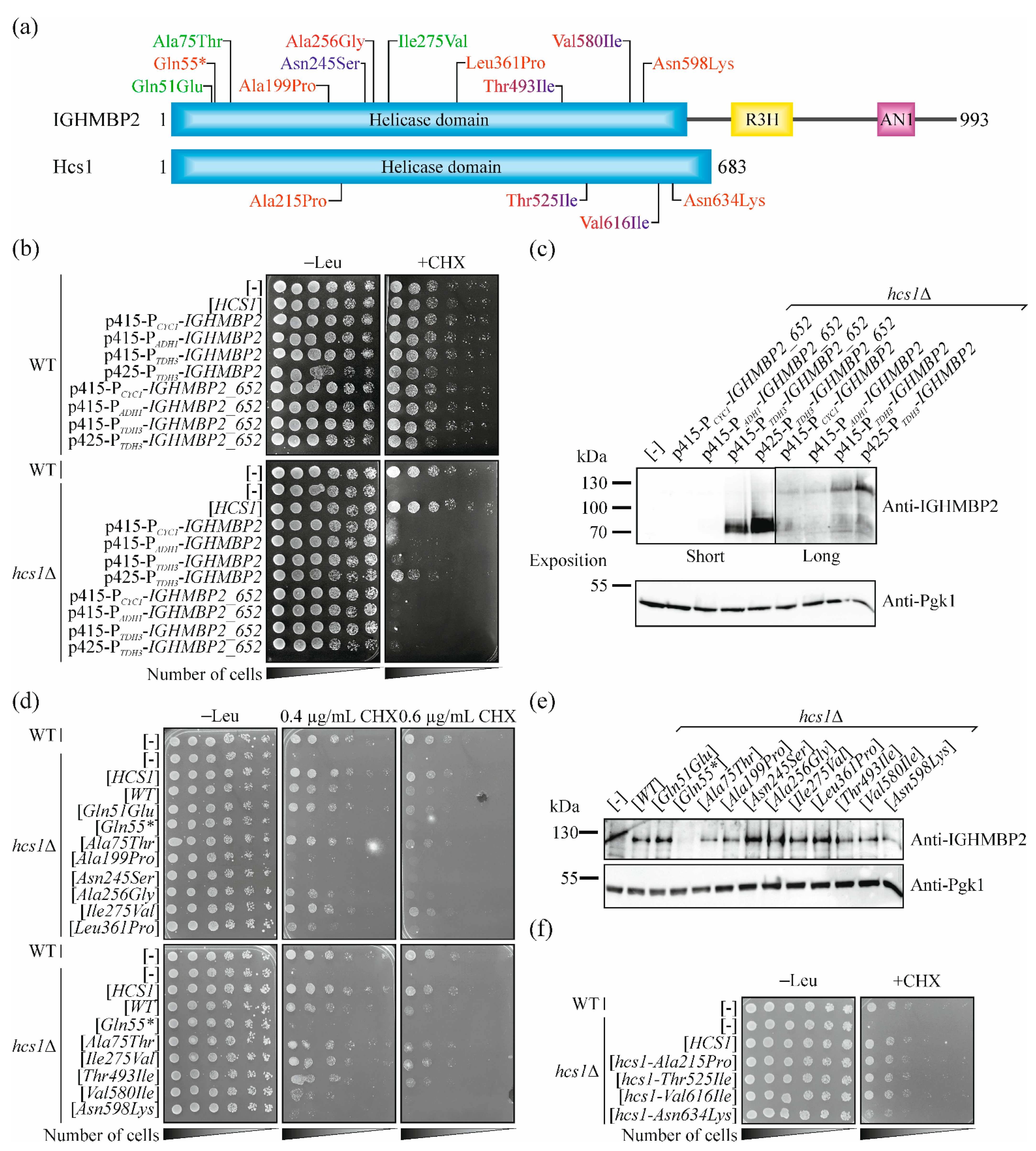 Ijms 23 09913 g003 550