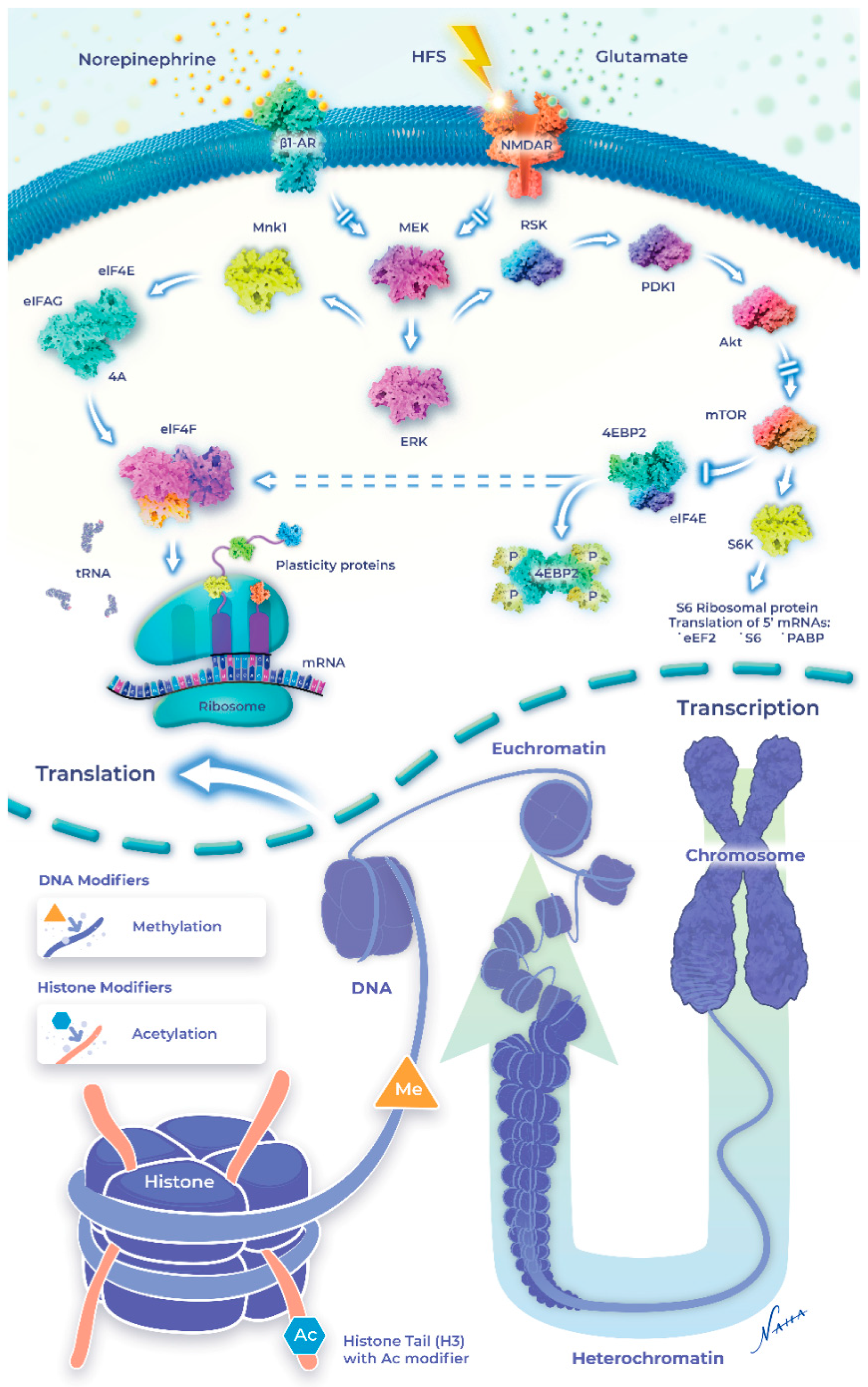 Ijms 23 09916 g002 Ijms 23 09916 g002