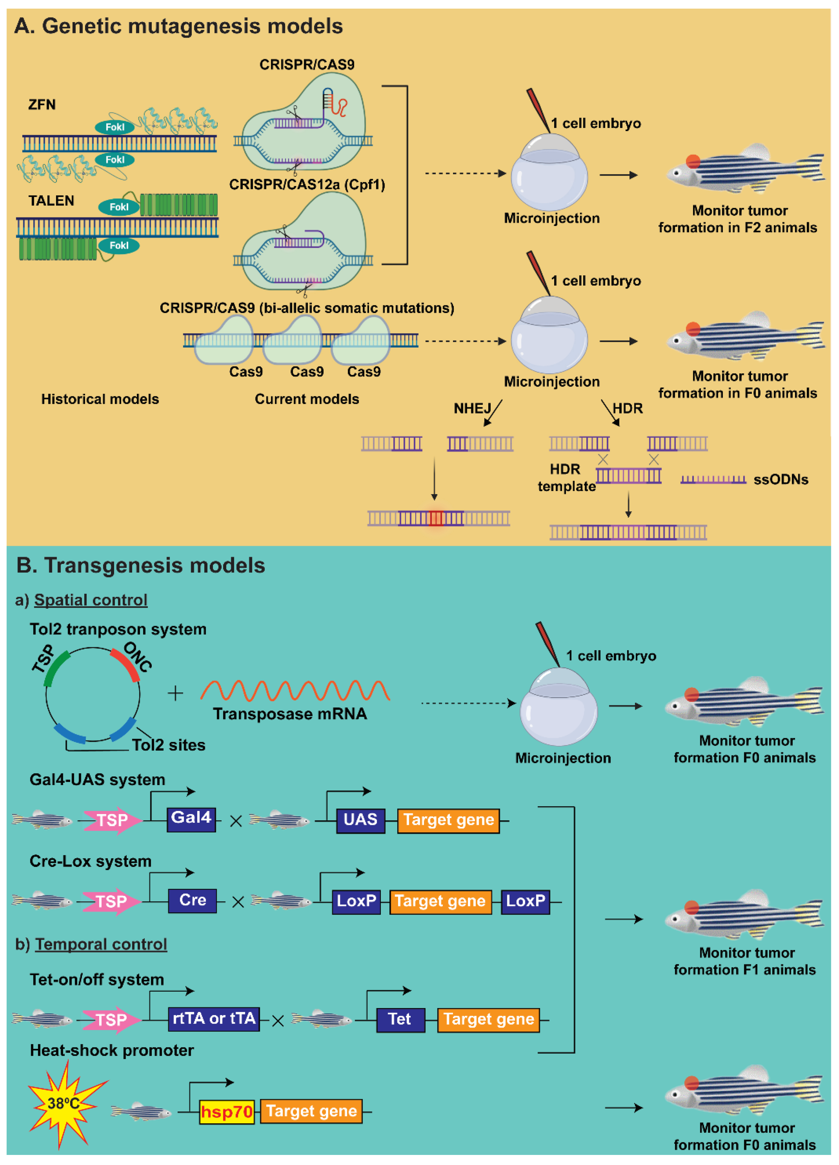 Ijms 23 09920 g002a Ijms 23 09920 g002a