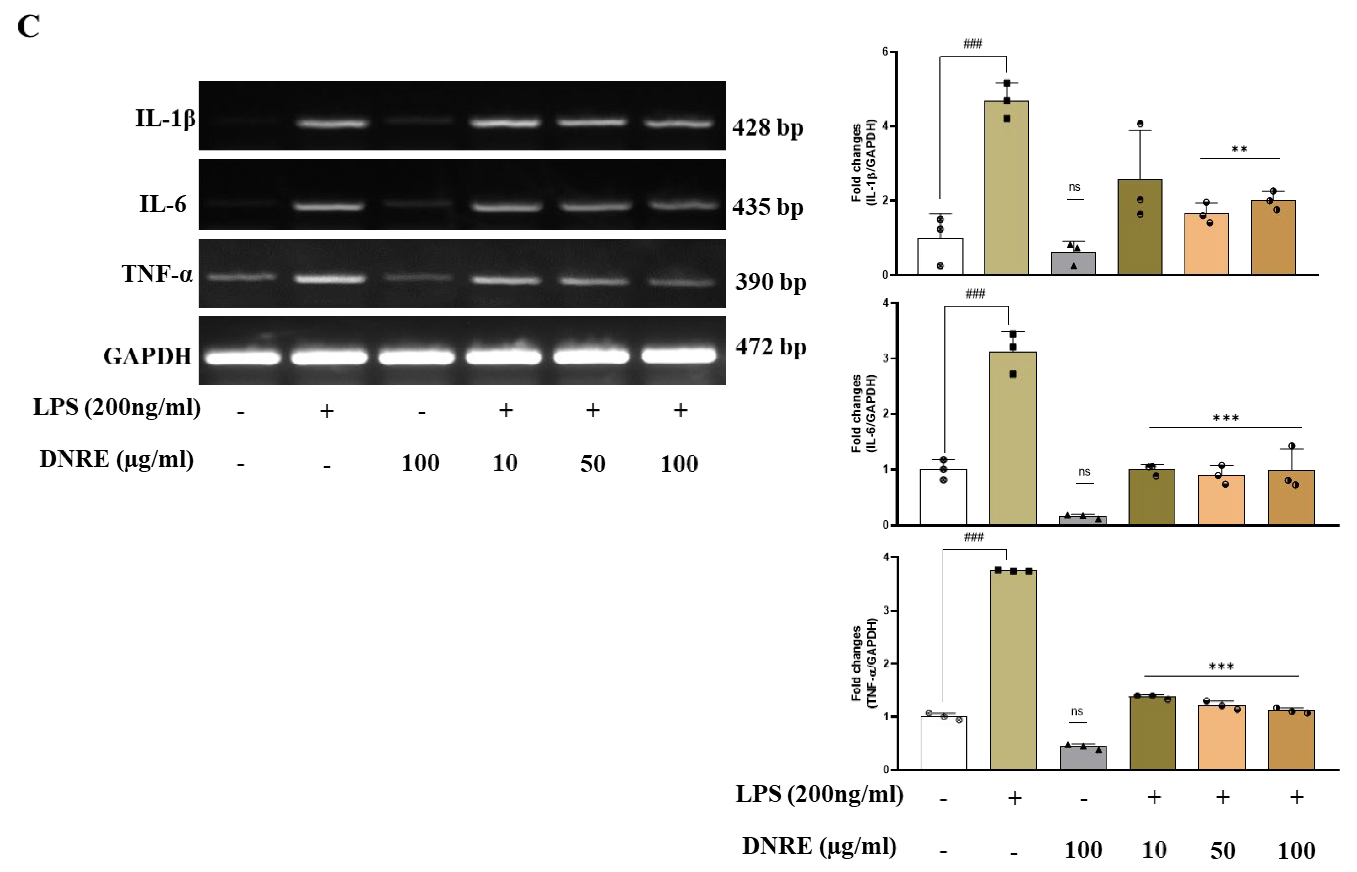 Ijms 23 09923 g002b 550