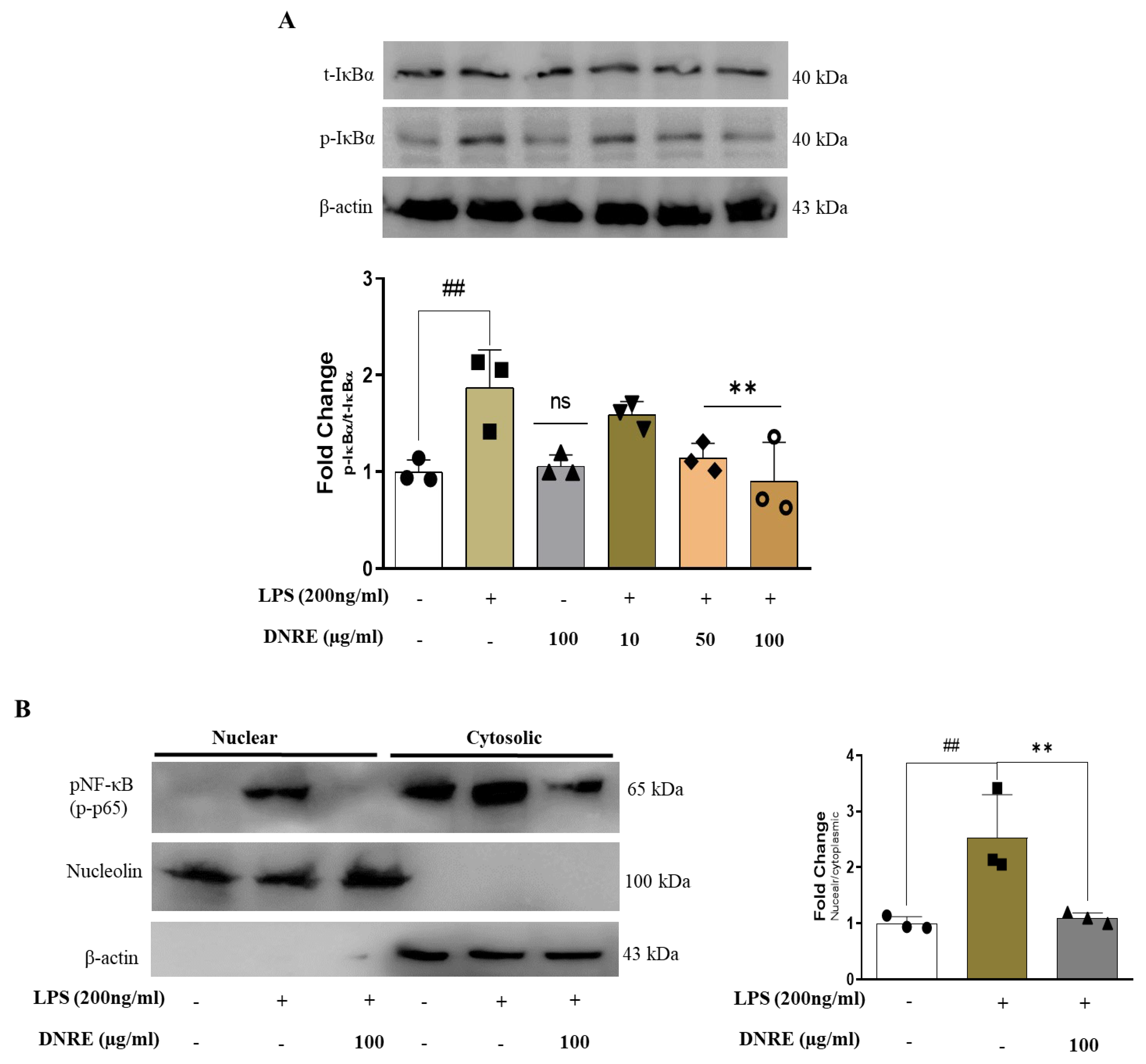 Ijms 23 09923 g003 550