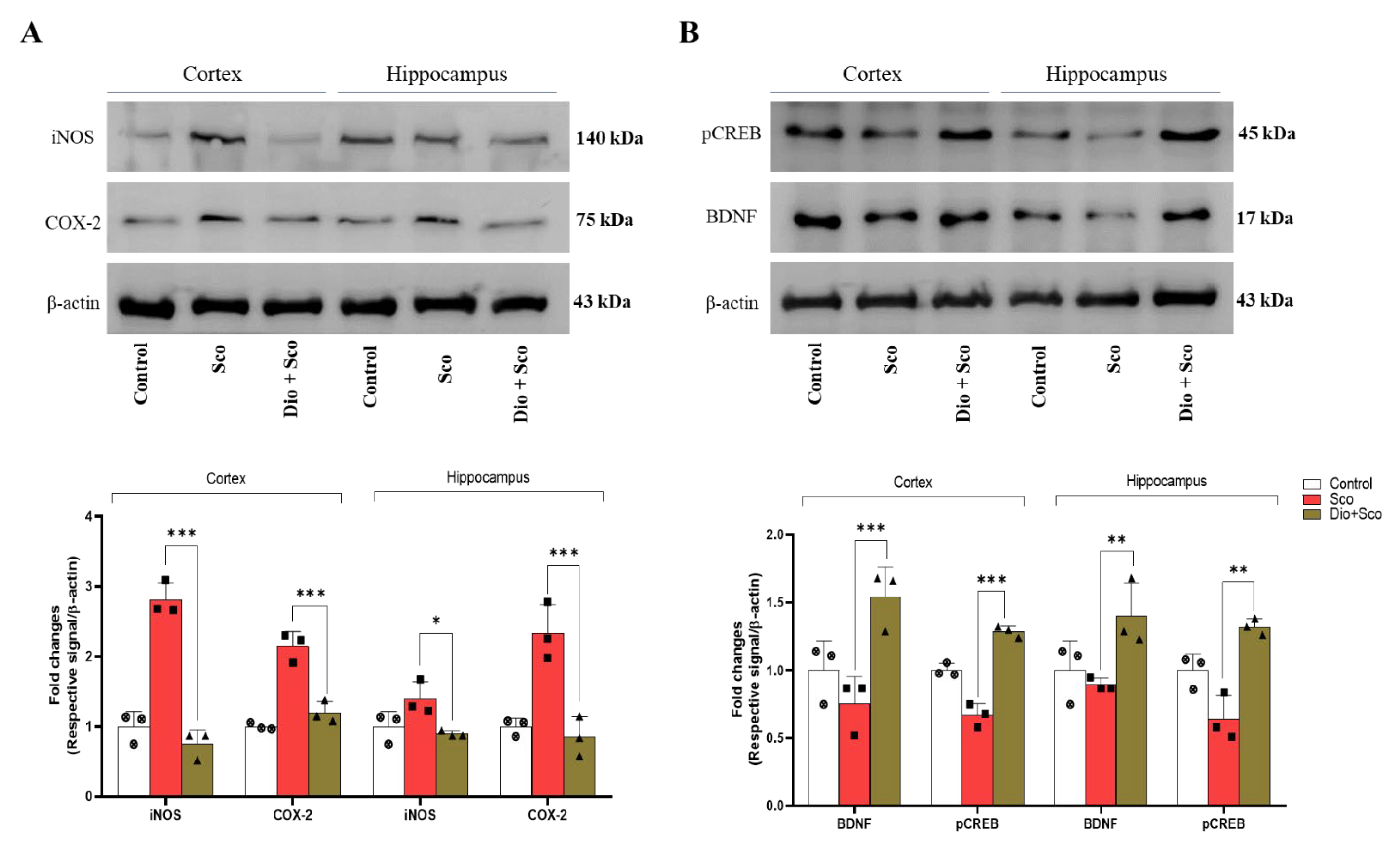 Ijms 23 09923 g006 550