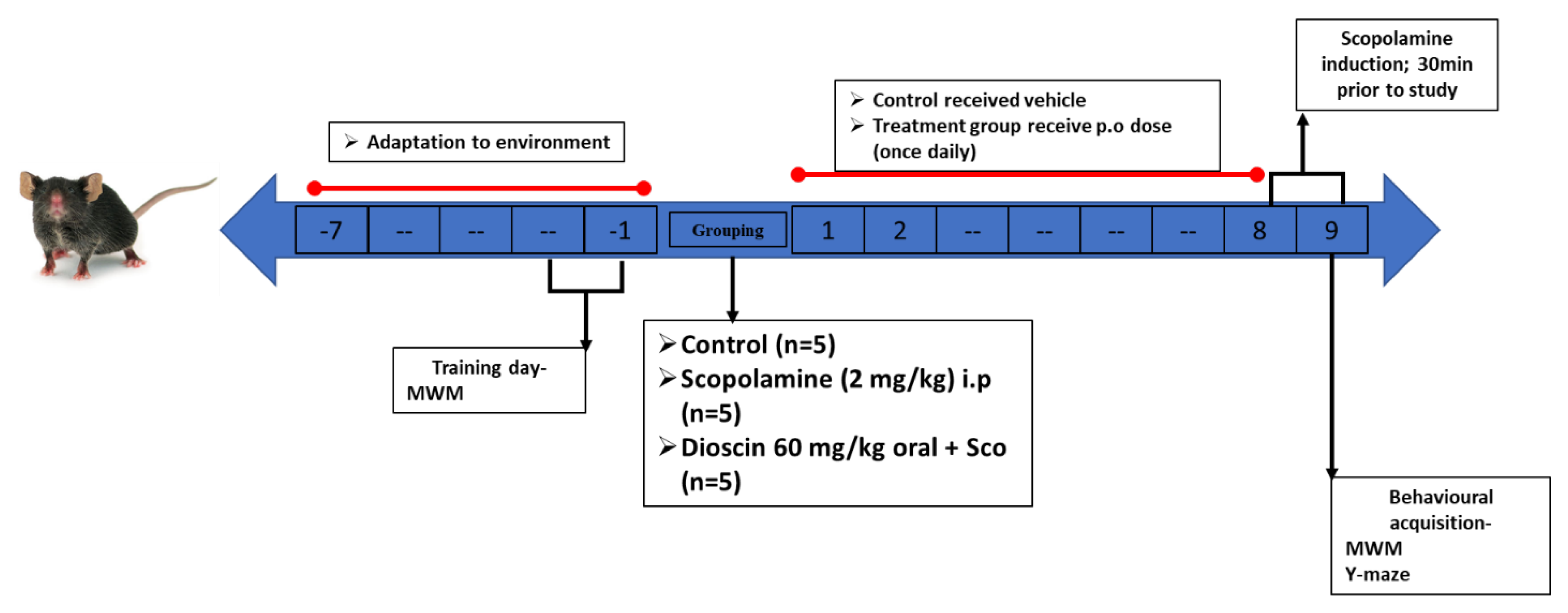 Ijms 23 09923 g007 550