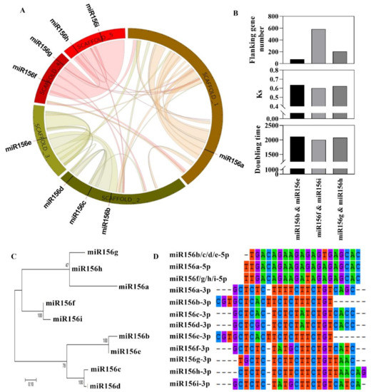 Integrated Transcriptome and Targeted Metabolite Analysis Reveal miRNA ...