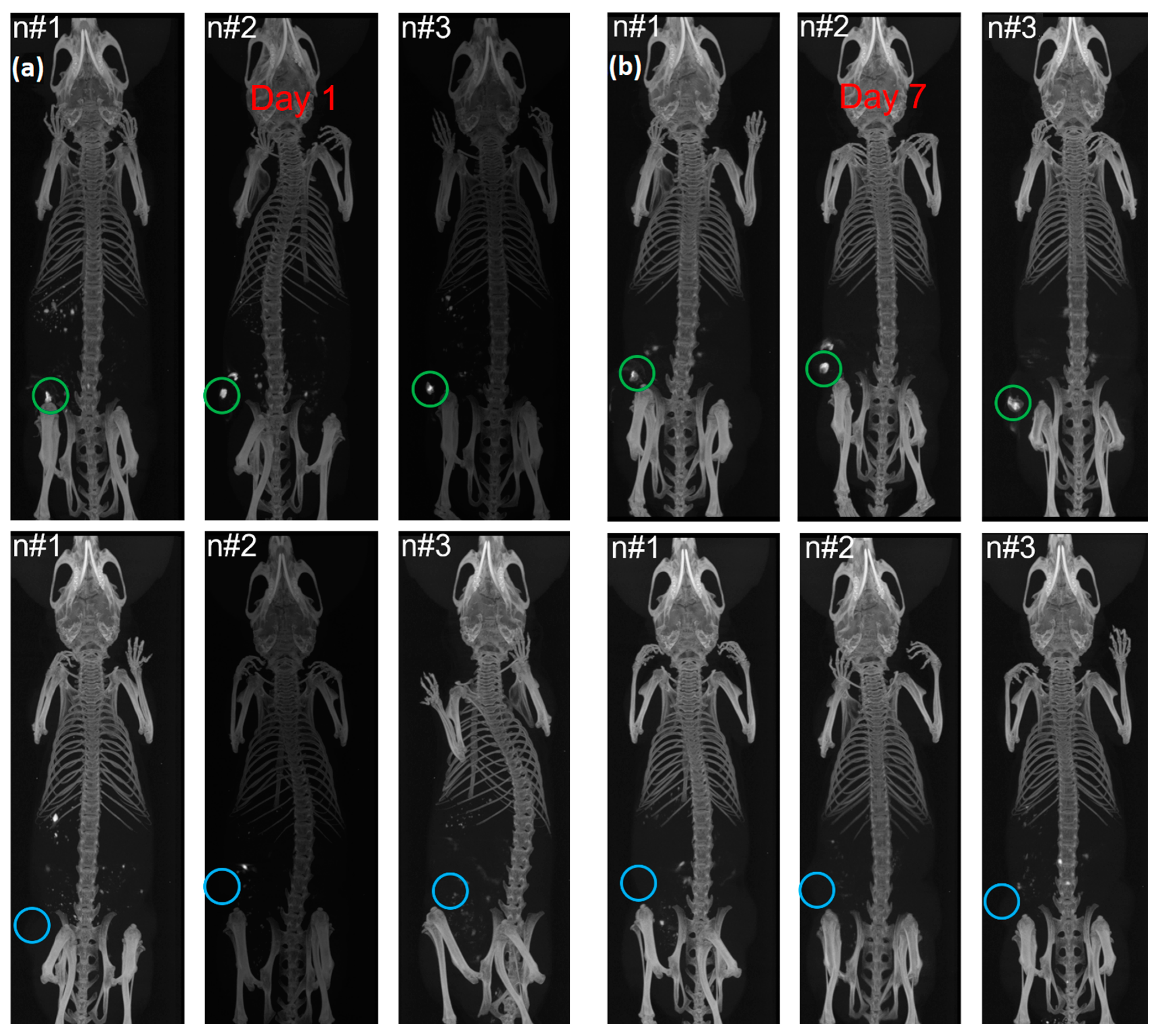Ijms 23 09926 g005 550