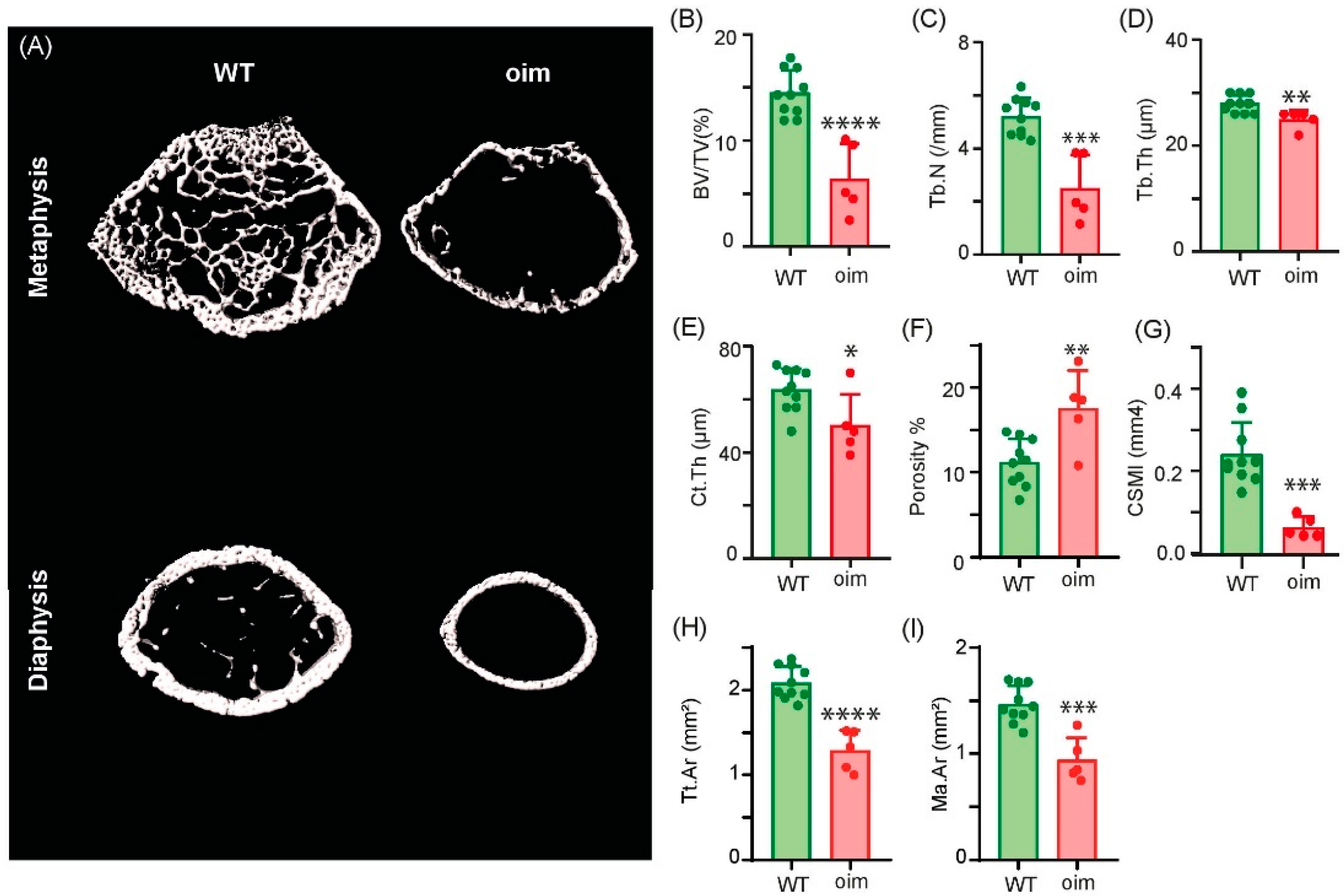 Ijms 23 09928 g004 550