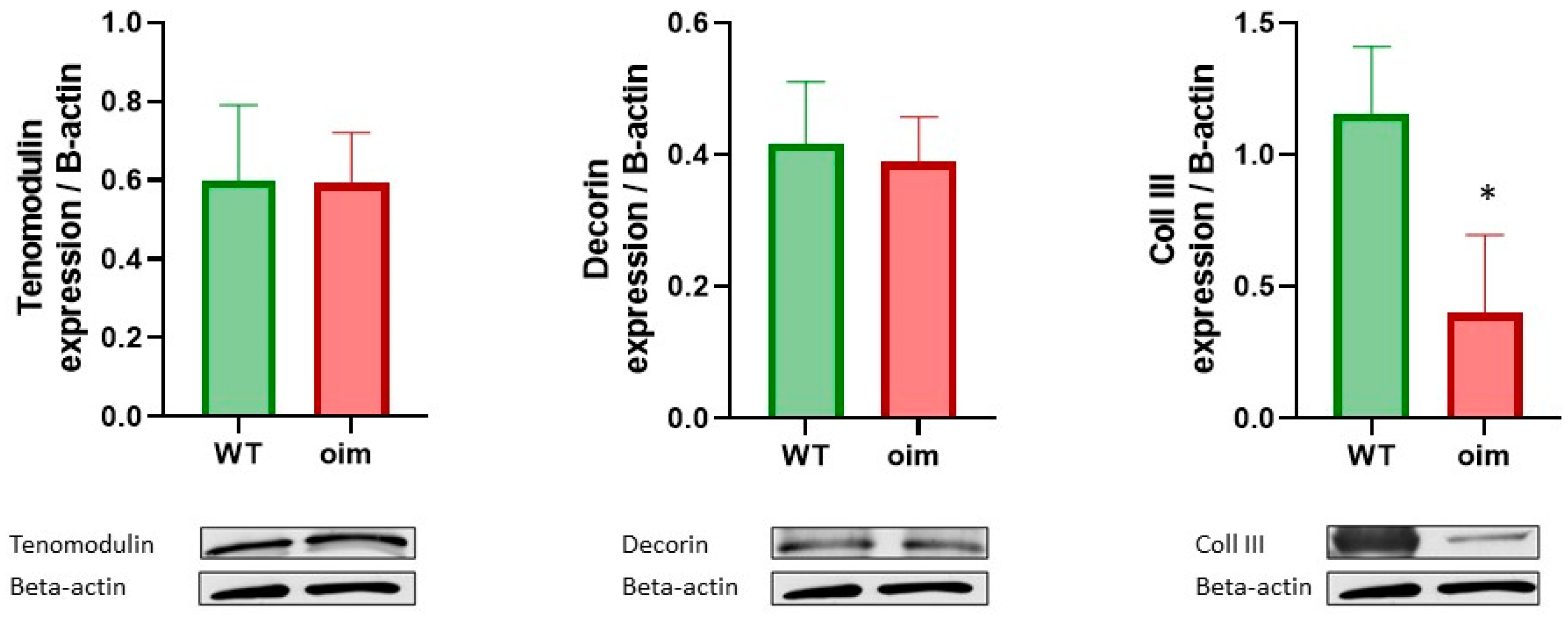 Ijms 23 09928 g005 550