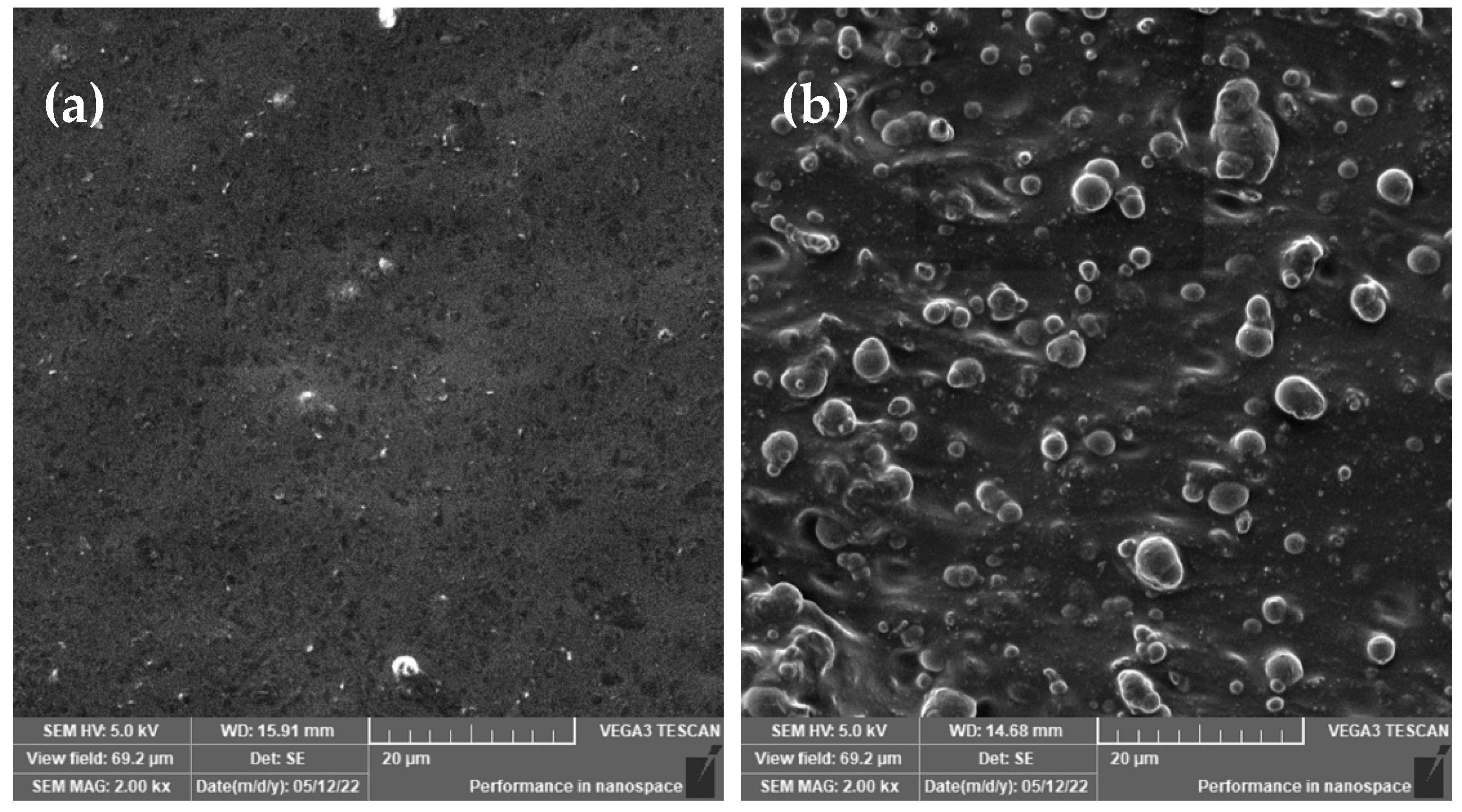 Ijms 23 09929 g001 550