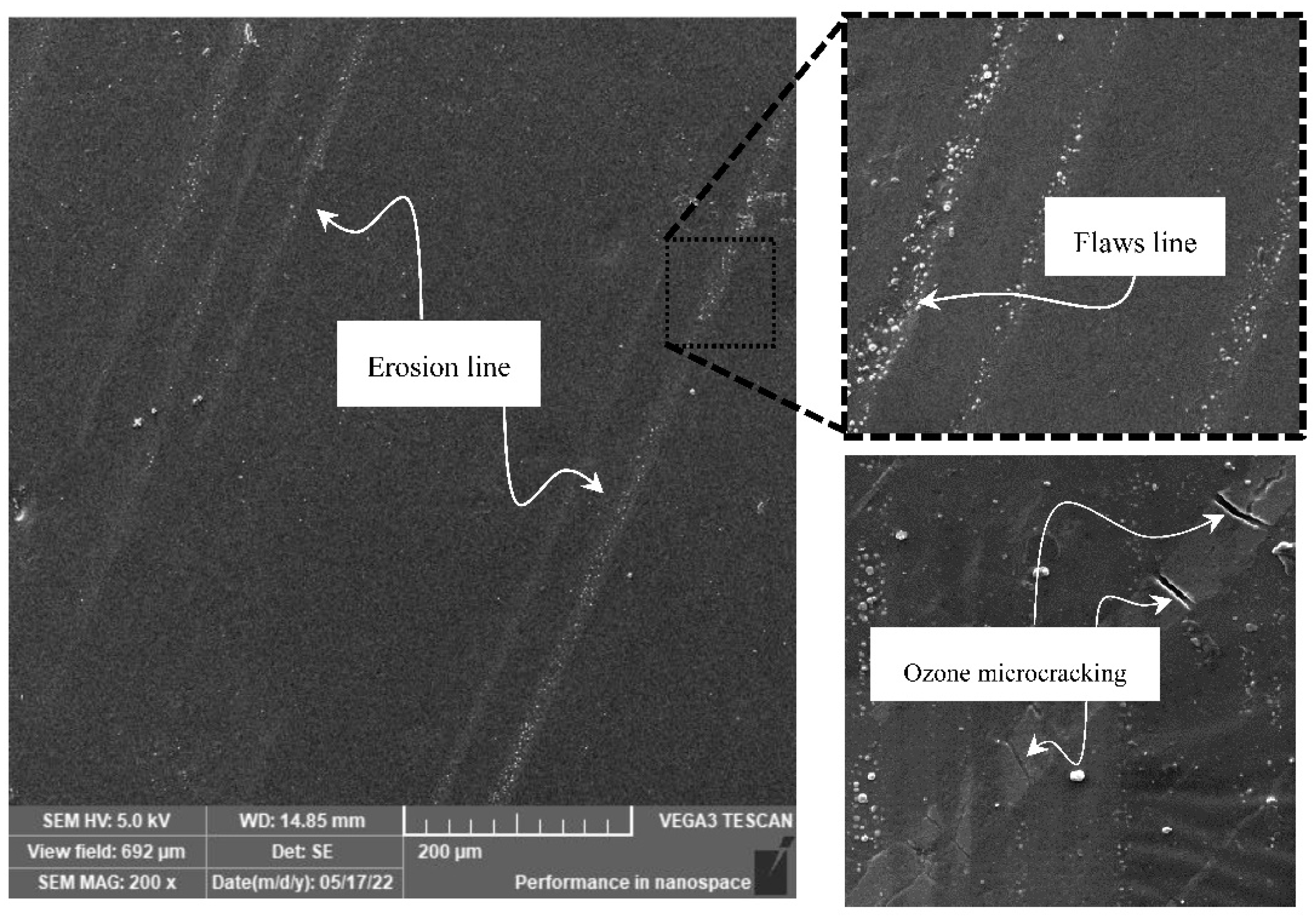 Ijms 23 09929 g002 550