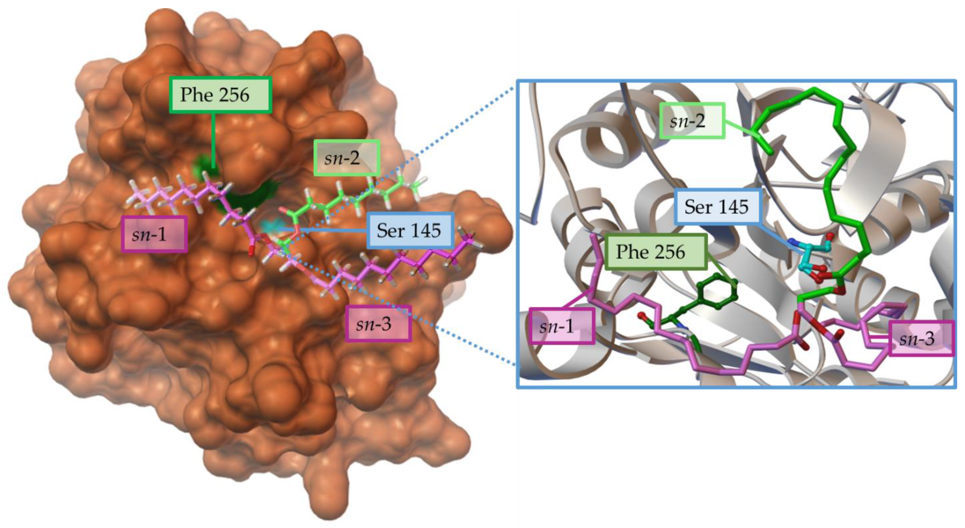 Ijms 23 09933 g004 Ijms 23 09933 g004
