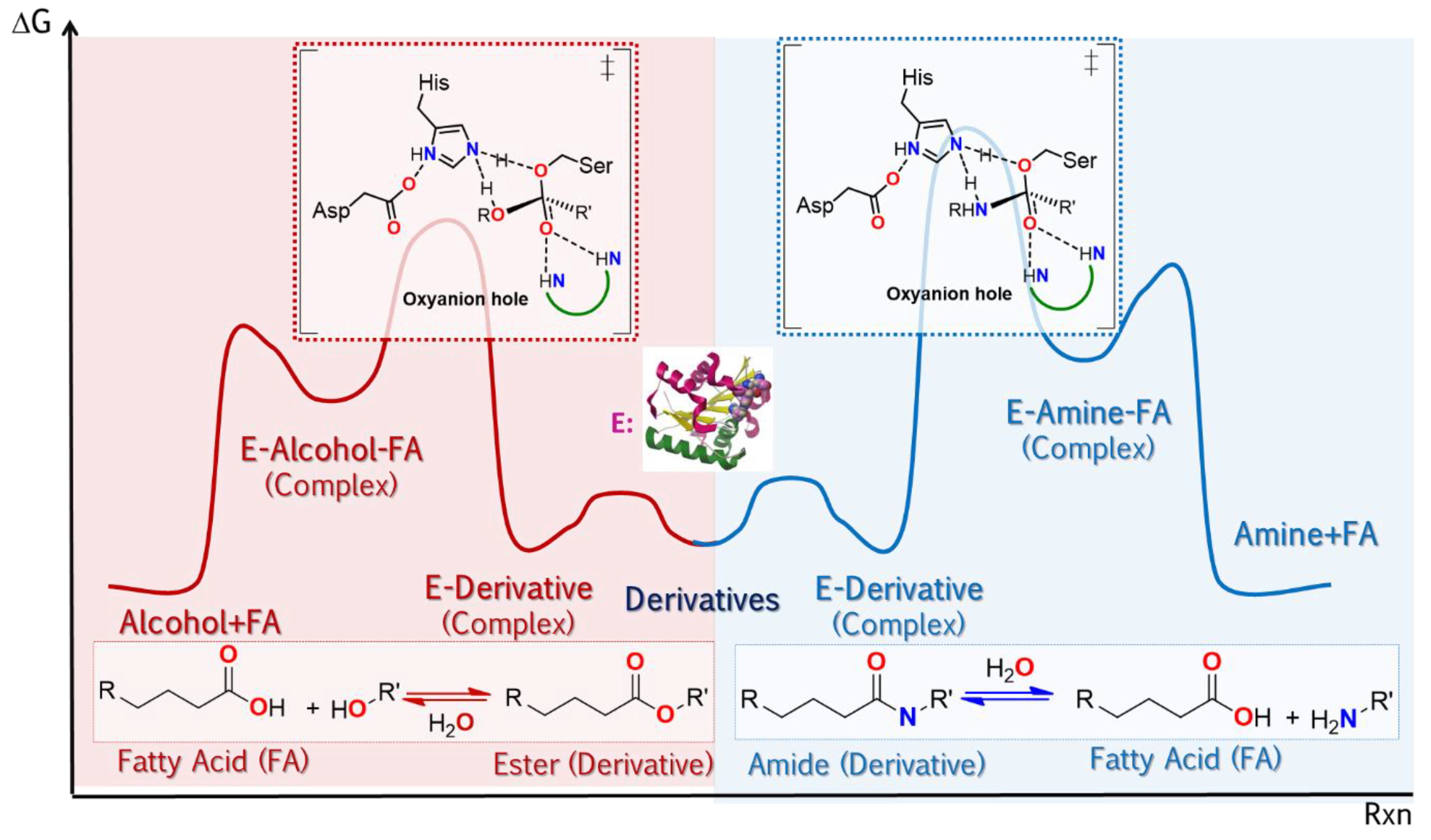 Ijms 23 09933 g006 Ijms 23 09933 g006