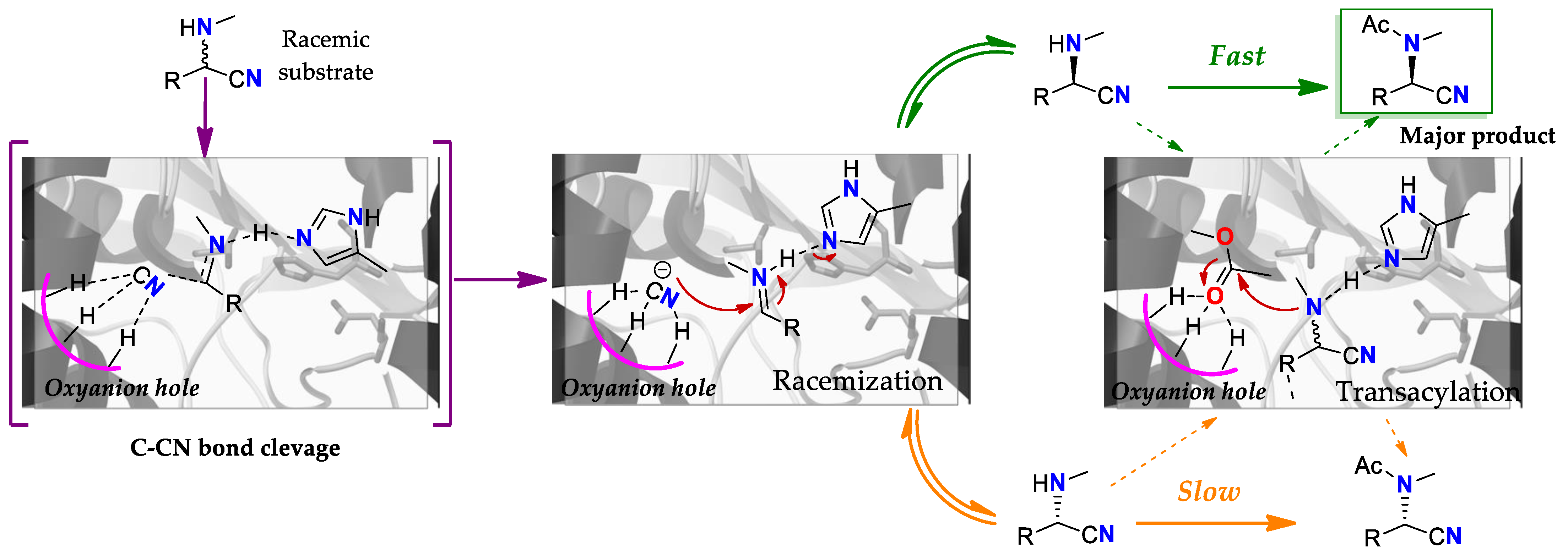 Ijms 23 09933 g010 Ijms 23 09933 g010