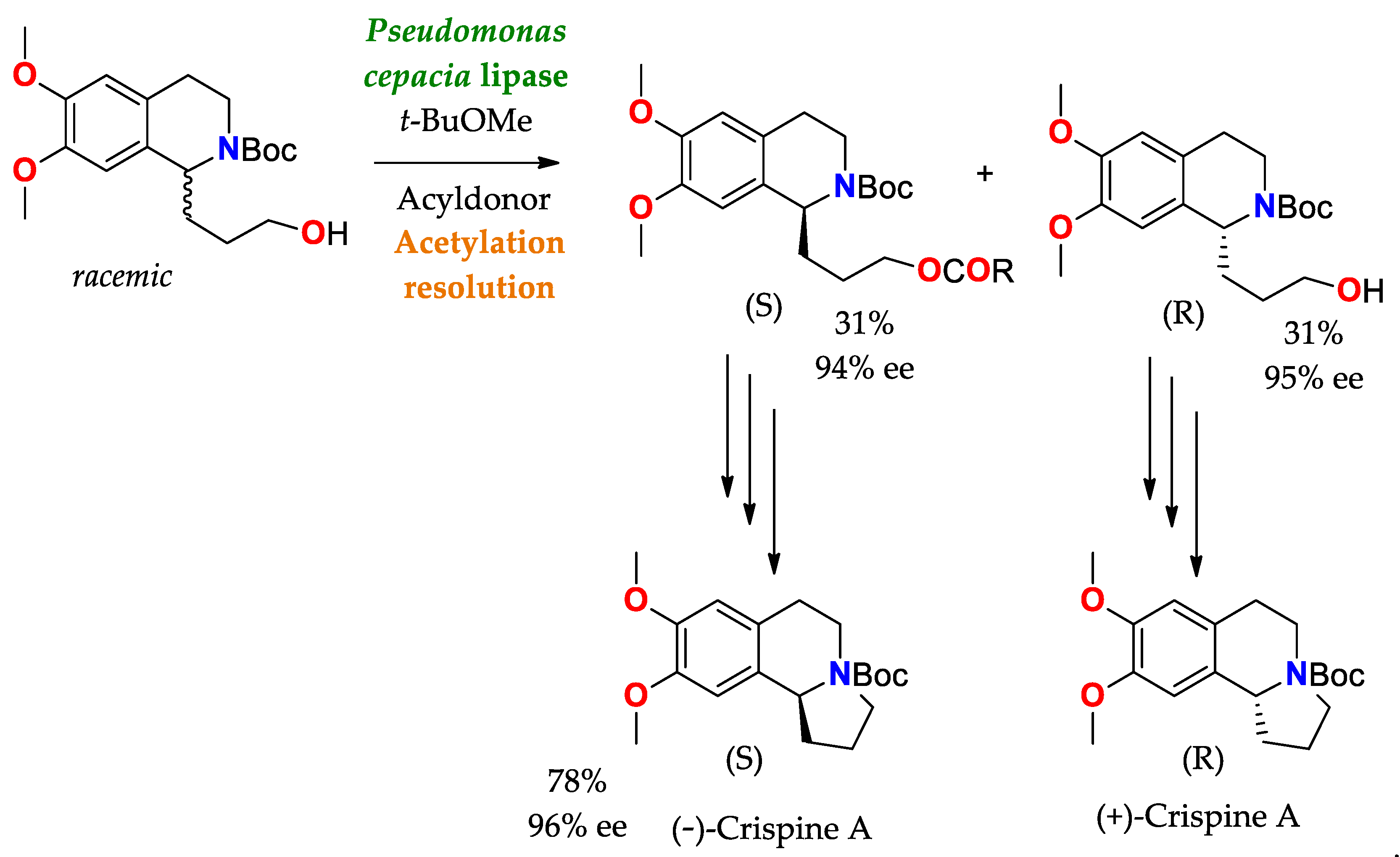 Ijms 23 09933 sch005 Ijms 23 09933 sch005