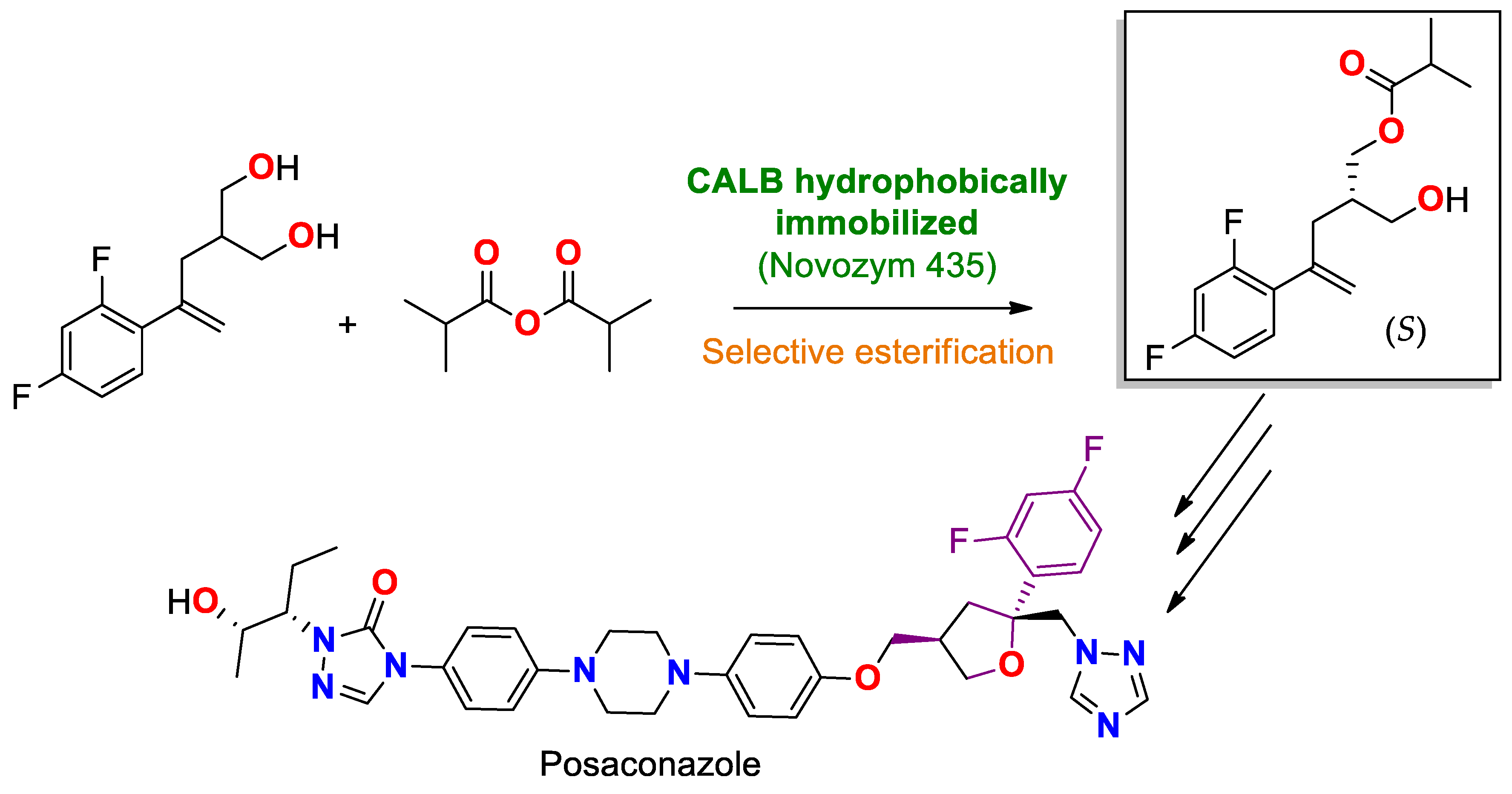 Ijms 23 09933 sch011 Ijms 23 09933 sch011