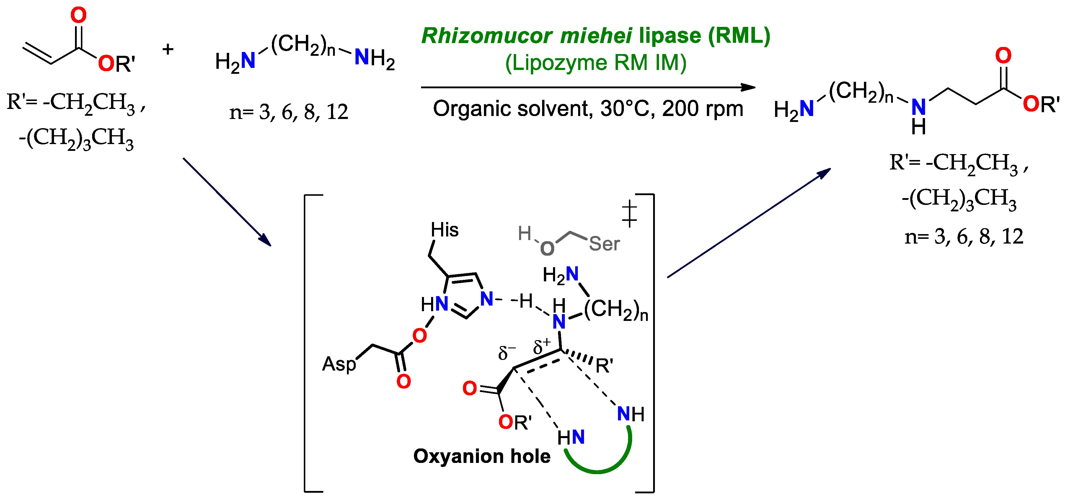 Ijms 23 09933 sch013 Ijms 23 09933 sch013