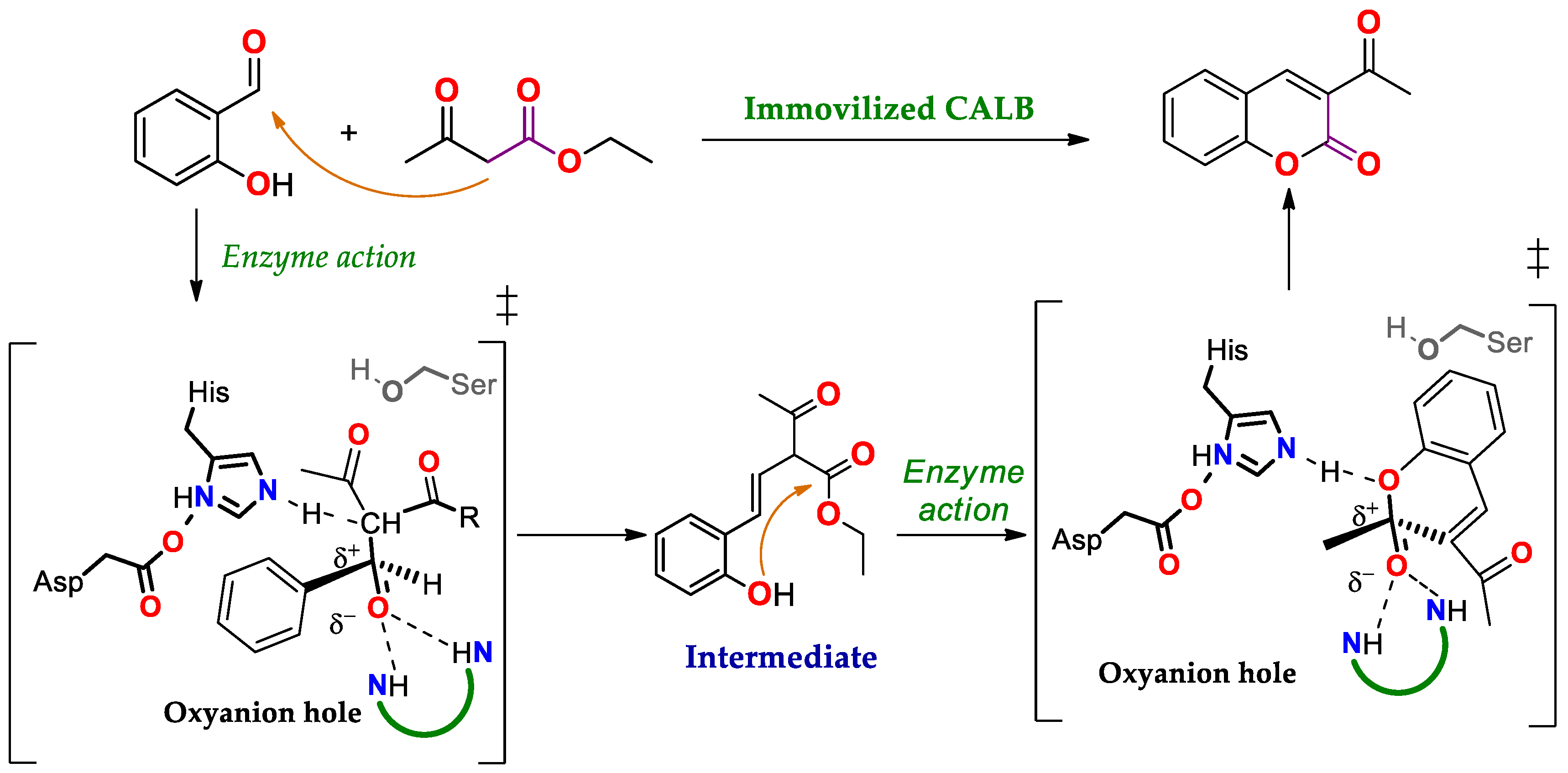 Ijms 23 09933 sch014 Ijms 23 09933 sch014