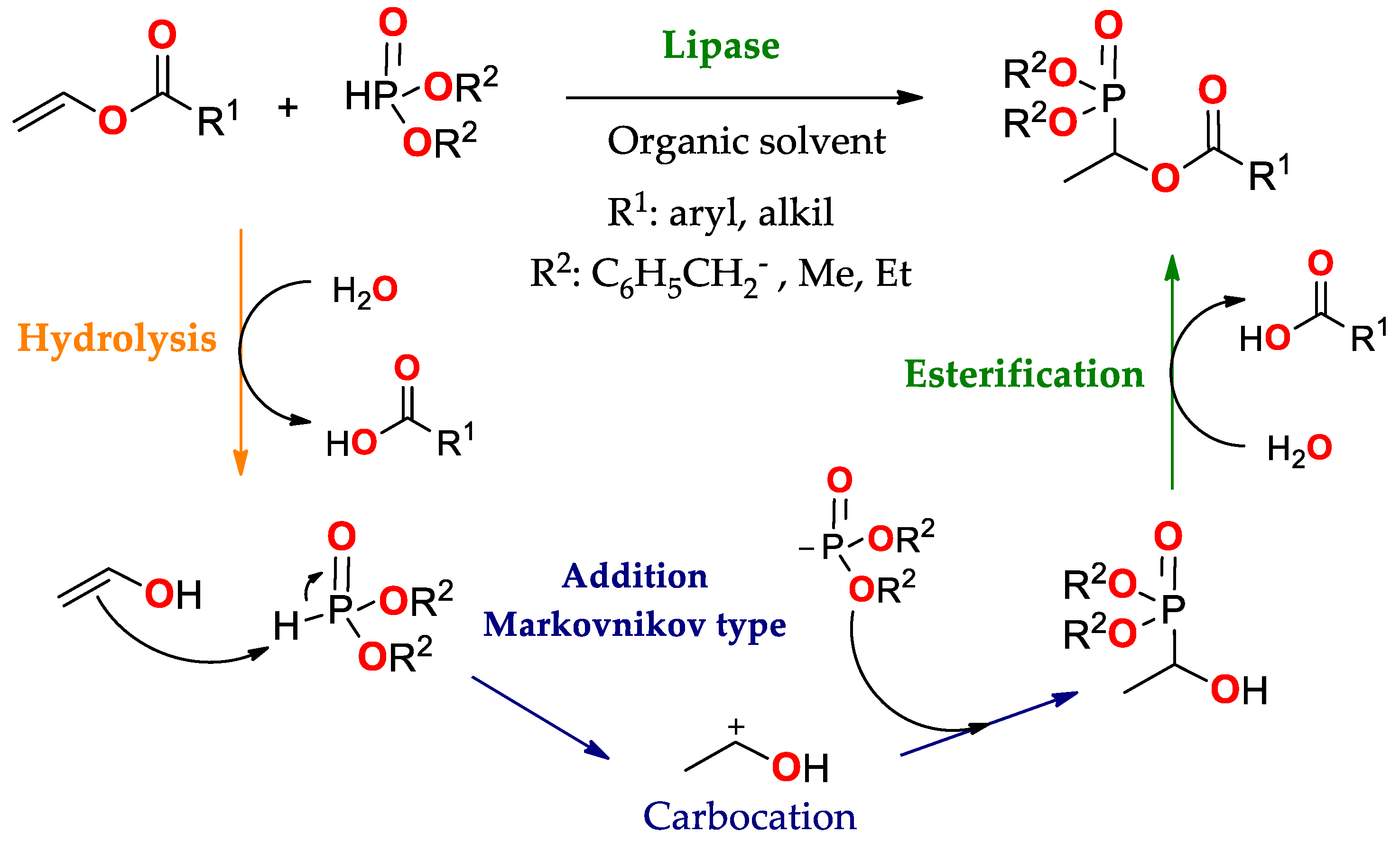 Ijms 23 09933 sch019 Ijms 23 09933 sch019
