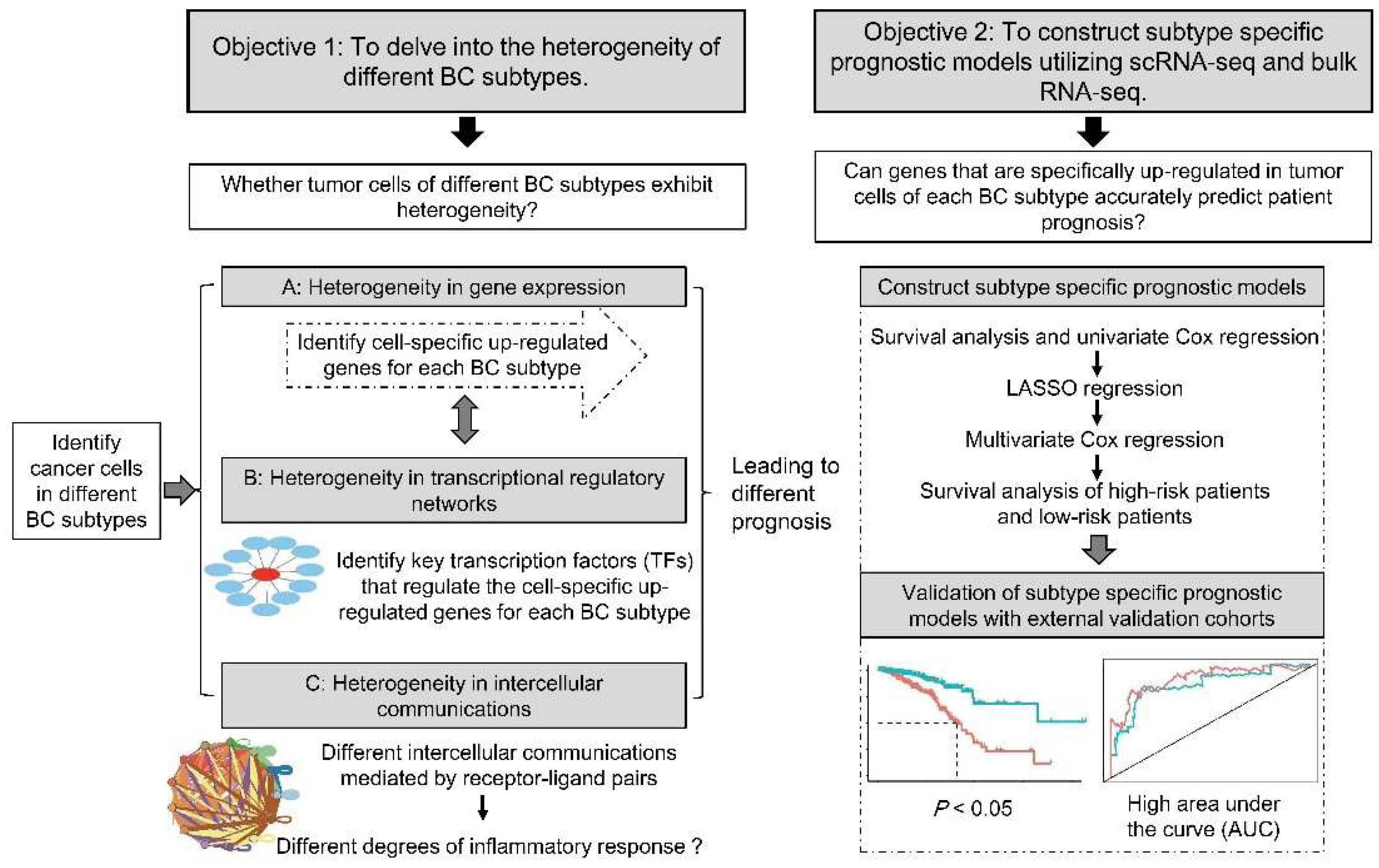 Ijms 23 09936 g001 550