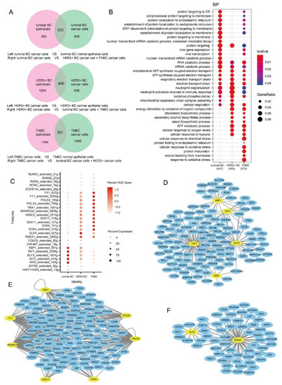 Delving into the Heterogeneity of Different Breast Cancer Subtypes and ...