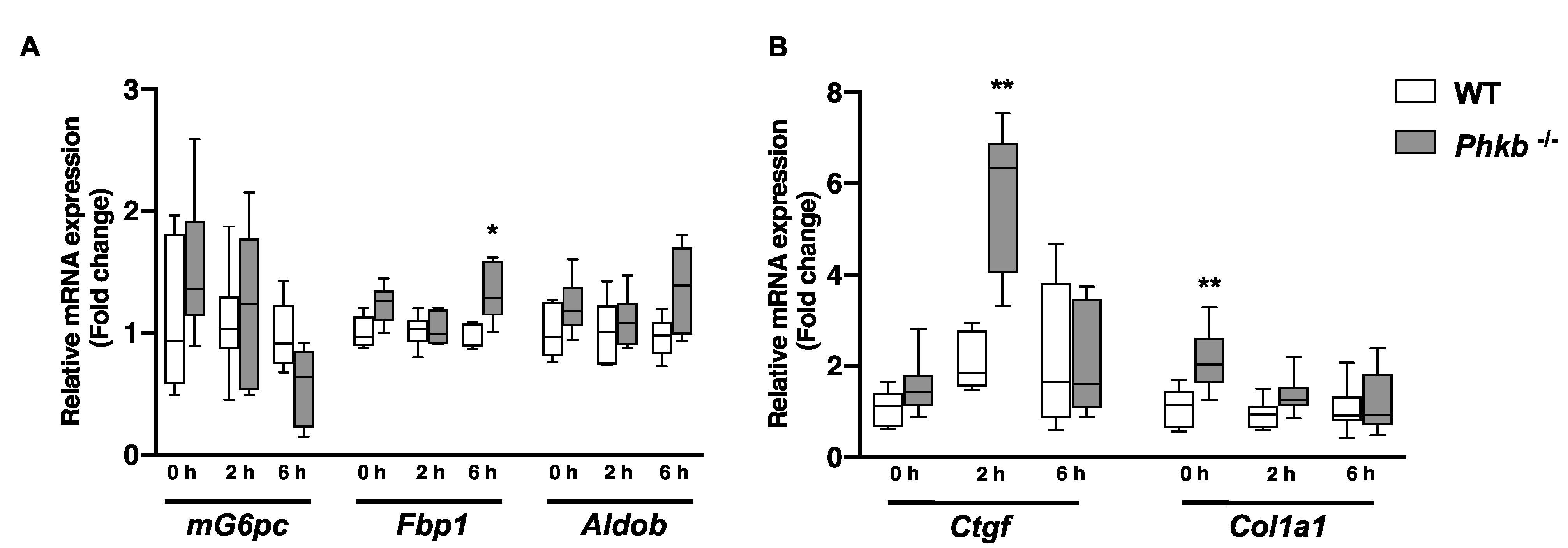 Ijms 23 09944 g003 Ijms 23 09944 g003