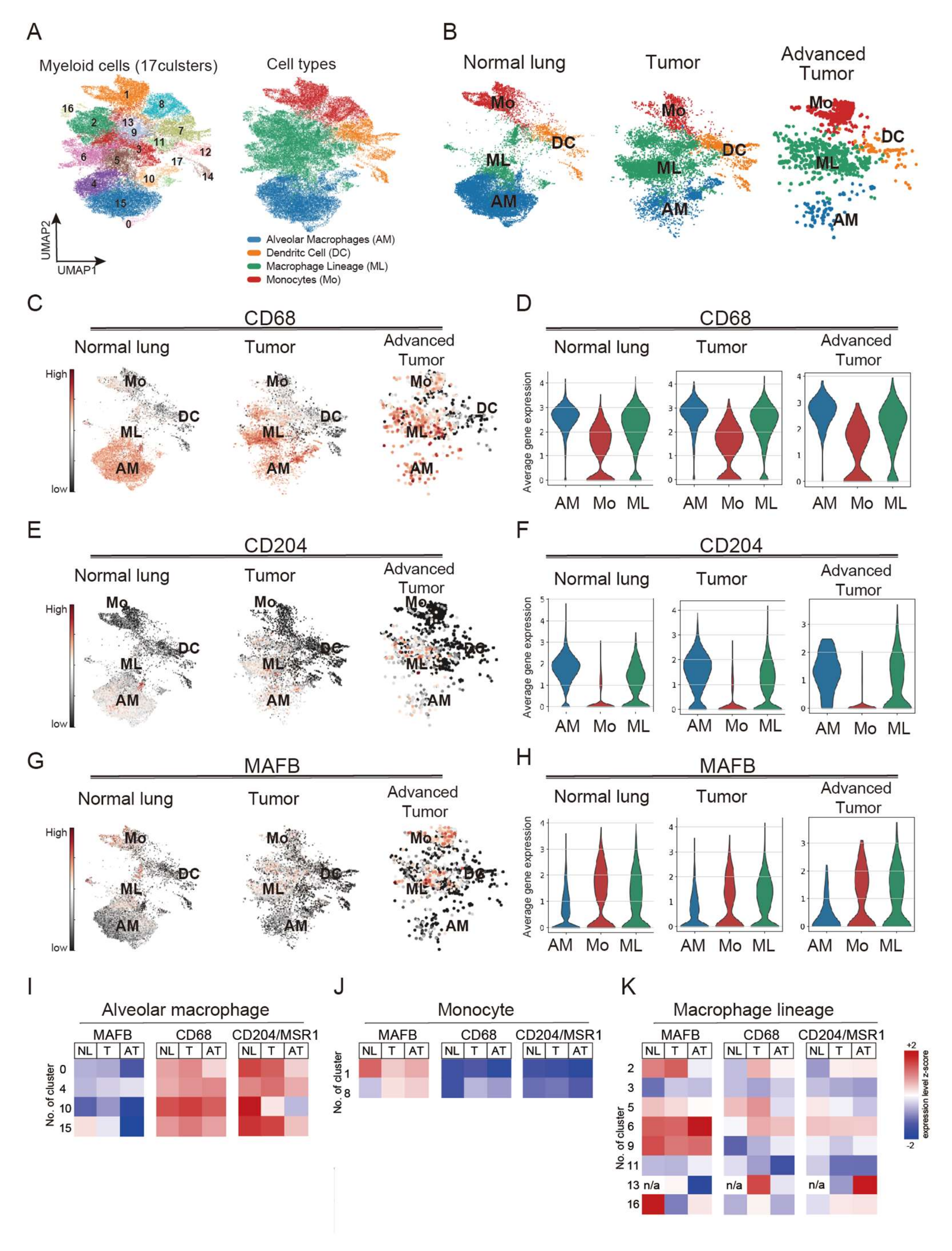 Ijms 23 09945 g001 Ijms 23 09945 g001