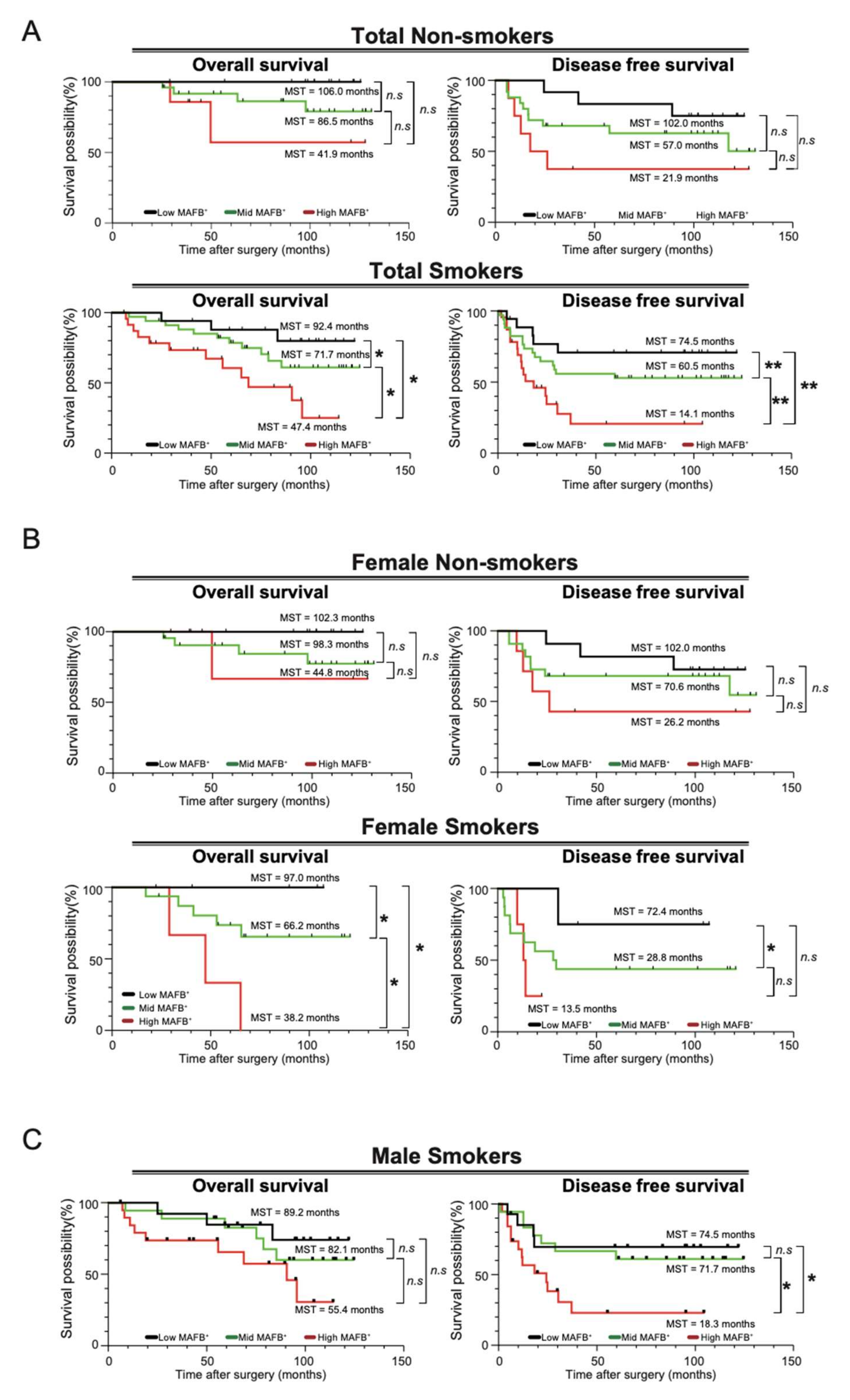 Ijms 23 09945 g004 Ijms 23 09945 g004