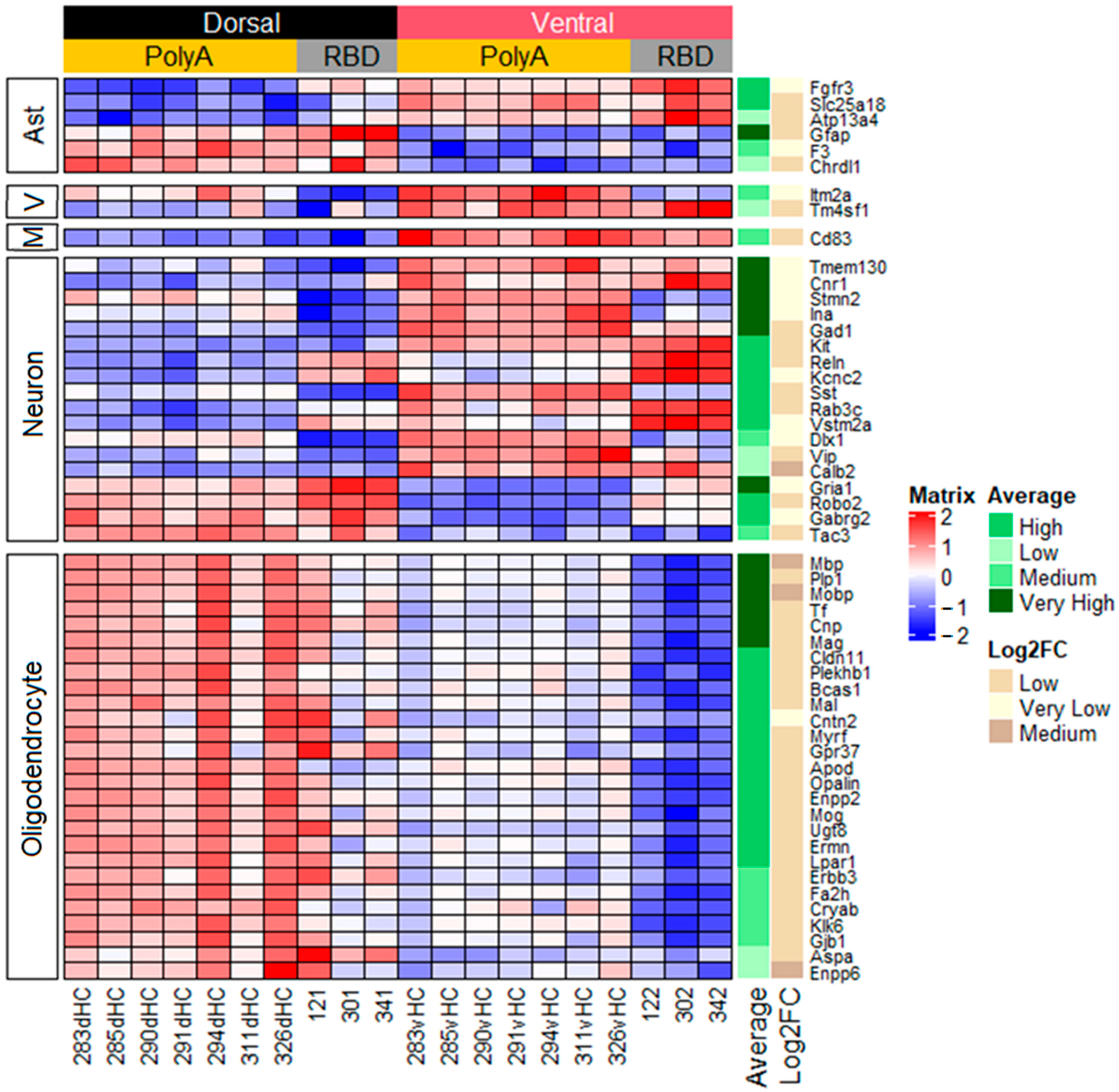 Ijms 23 09948 g004 550