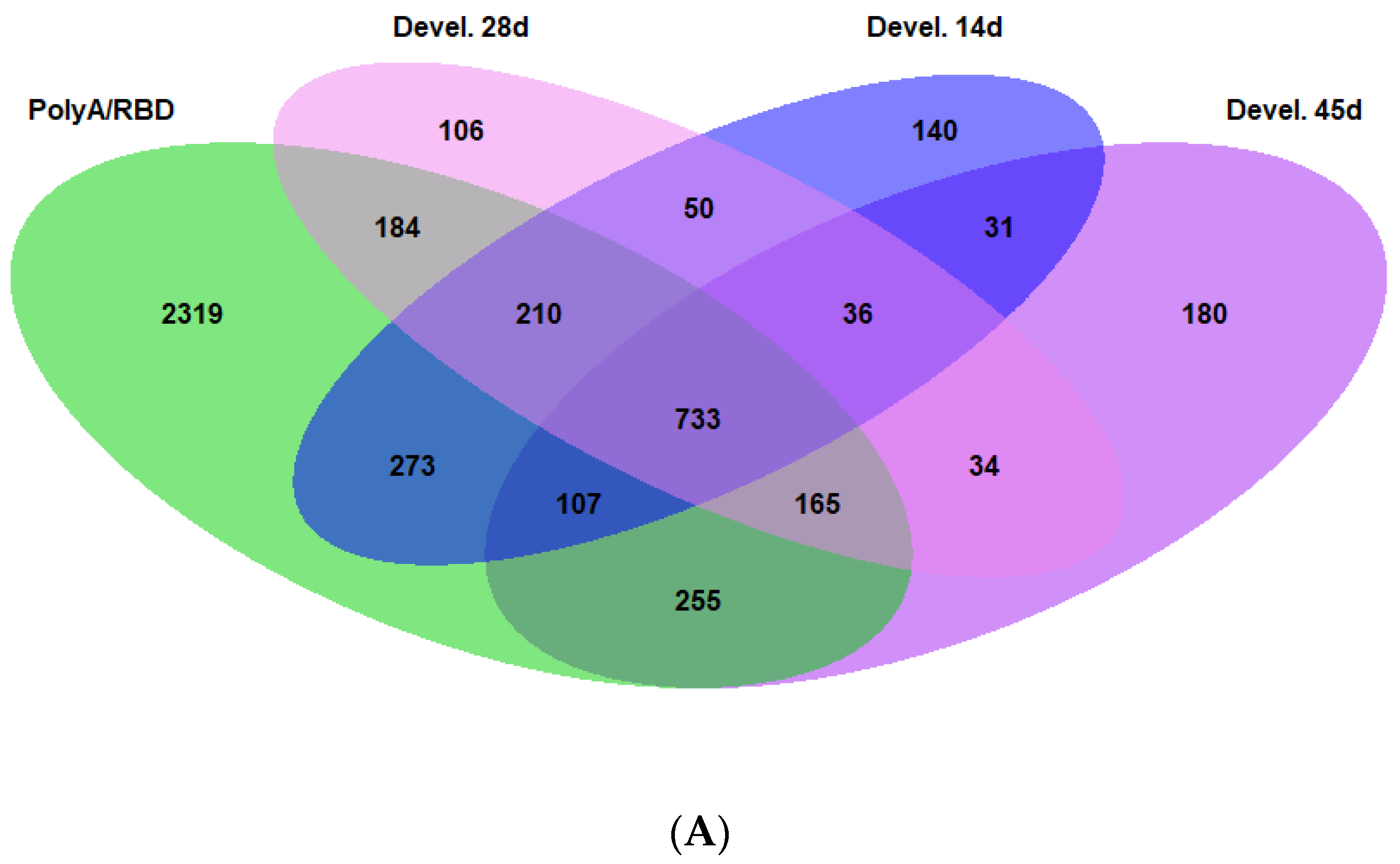 Ijms 23 09948 g005a 550