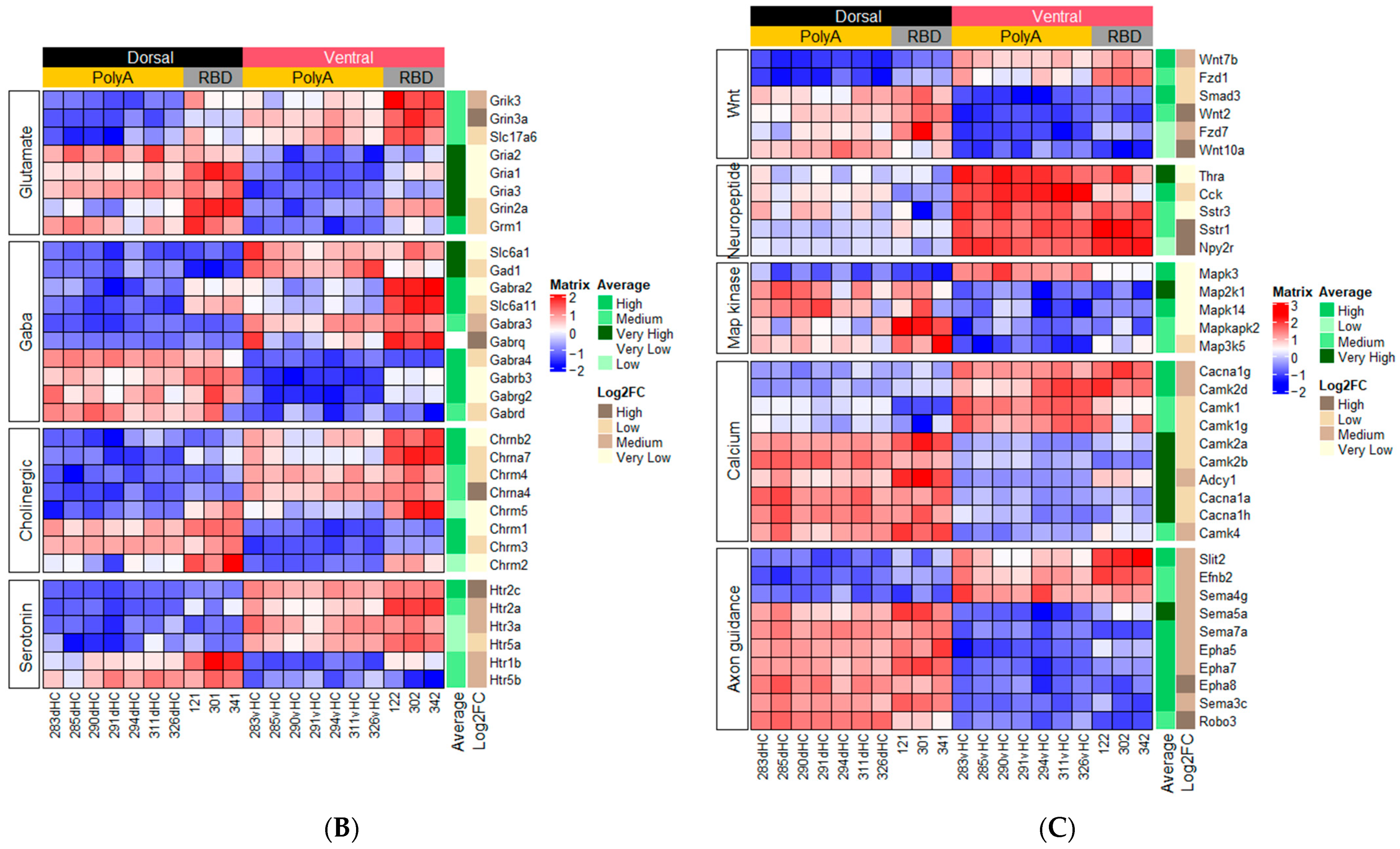 Ijms 23 09948 g005b 550