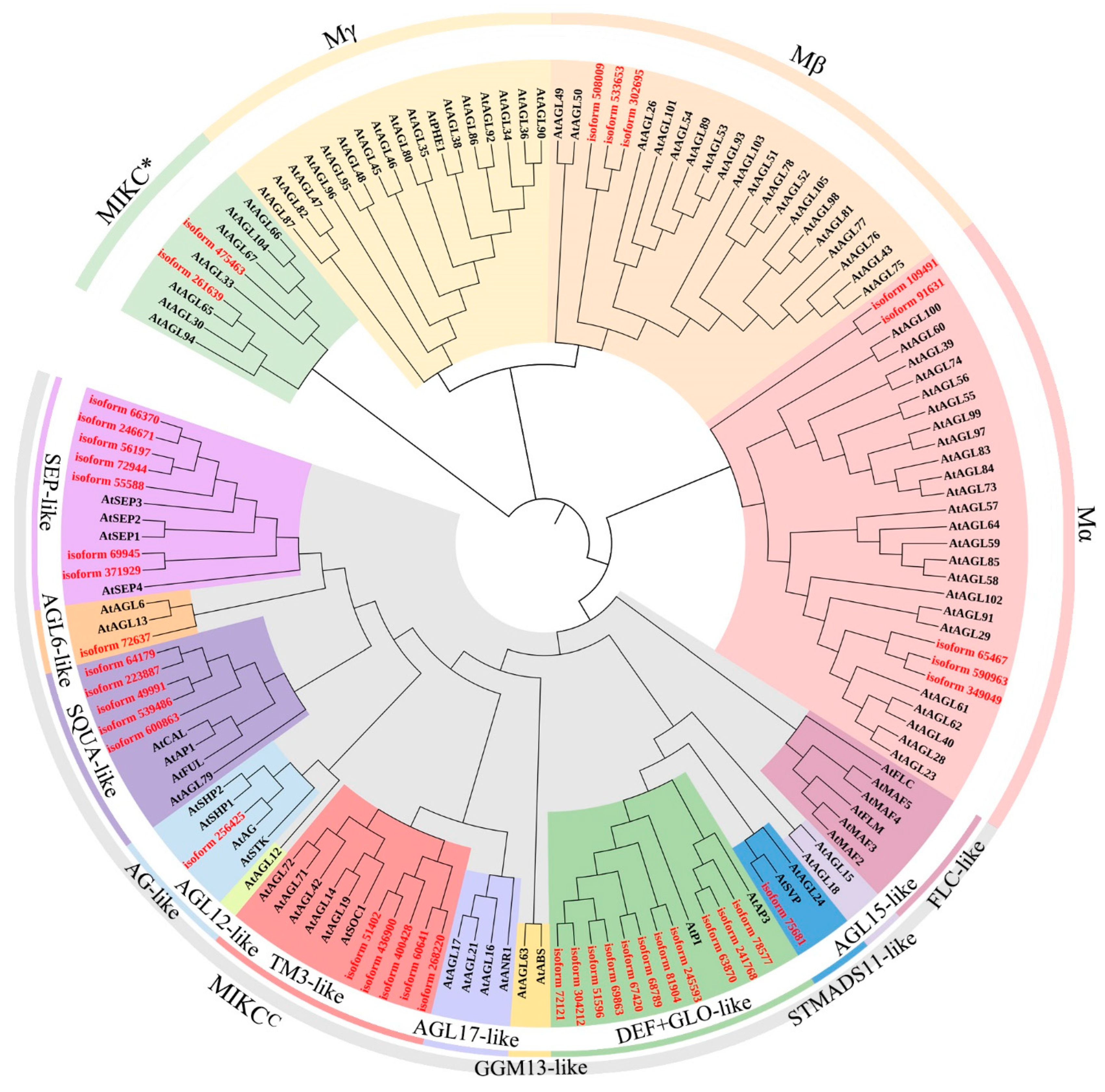 Ijms 23 09950 g001 550