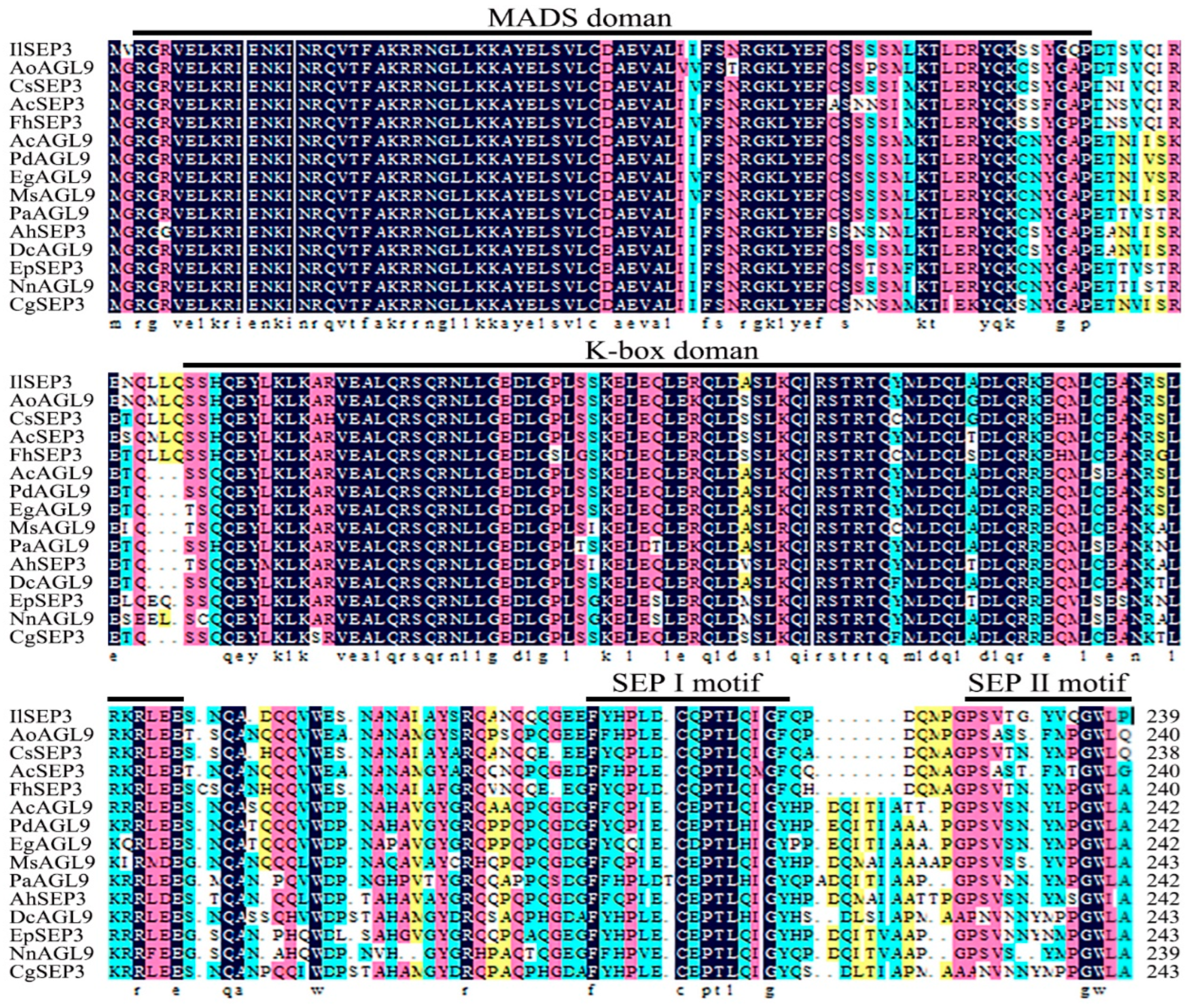 Ijms 23 09950 g002 550