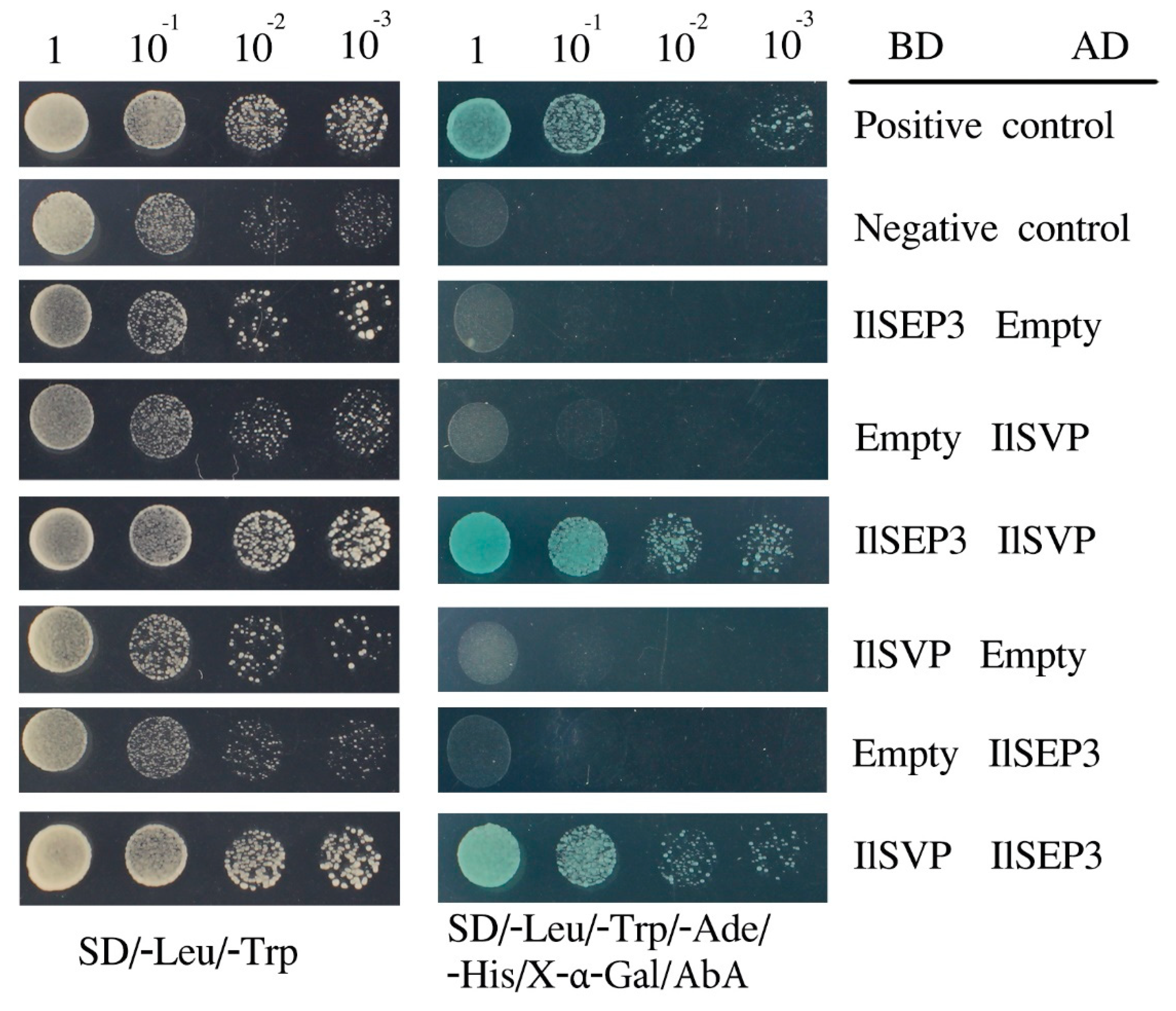 Ijms 23 09950 g005 550