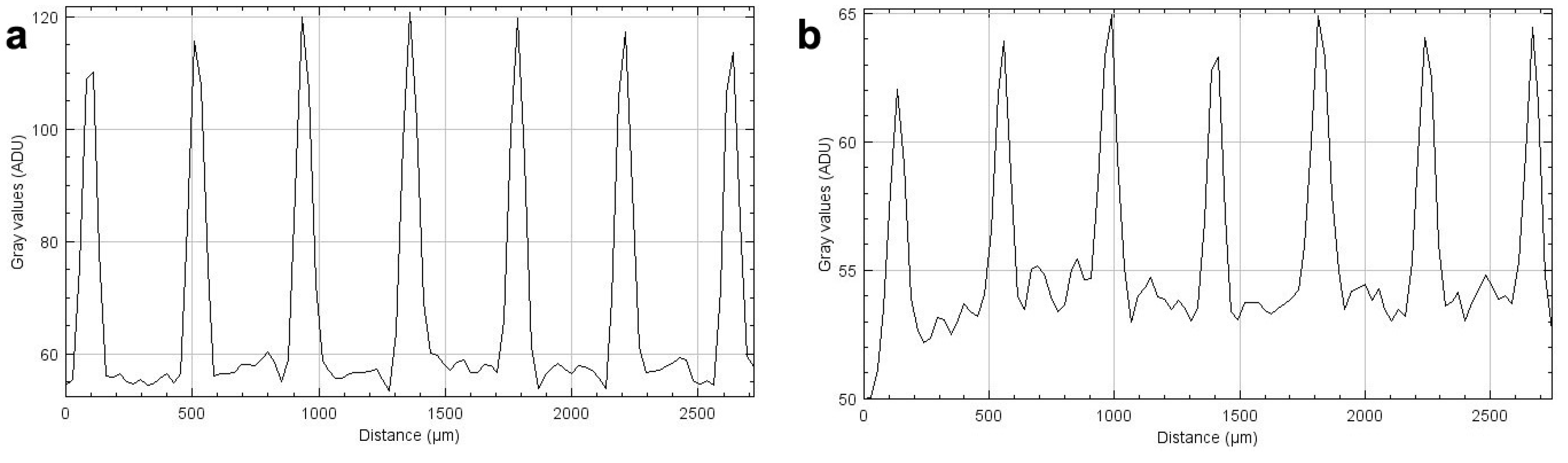 Ijms 23 09951 g002 550