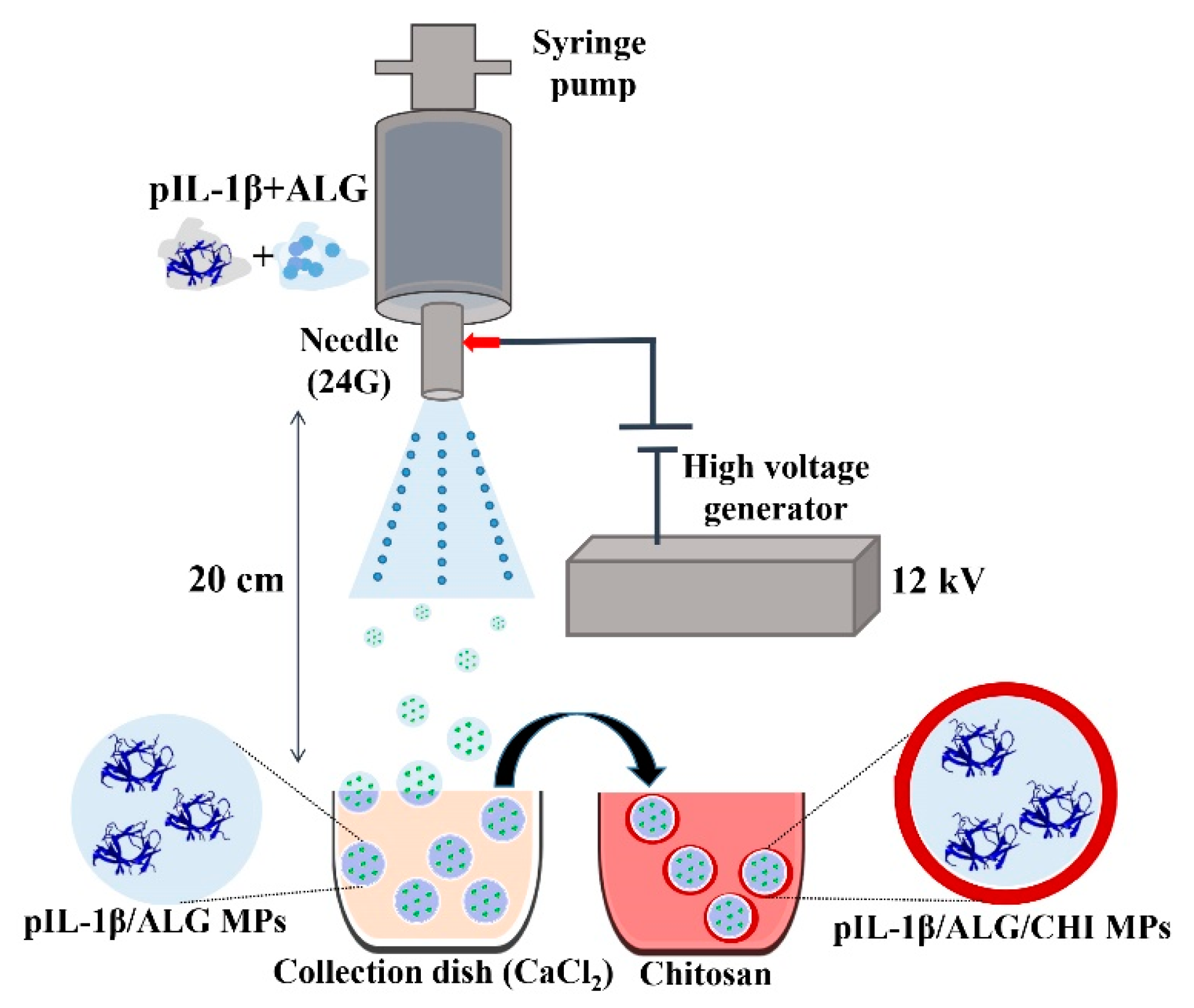 Ijms 23 09959 sch001