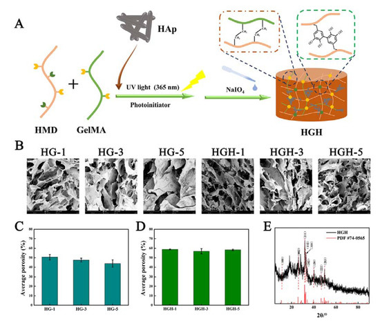 Preparation and Properties of Double-Crosslinked