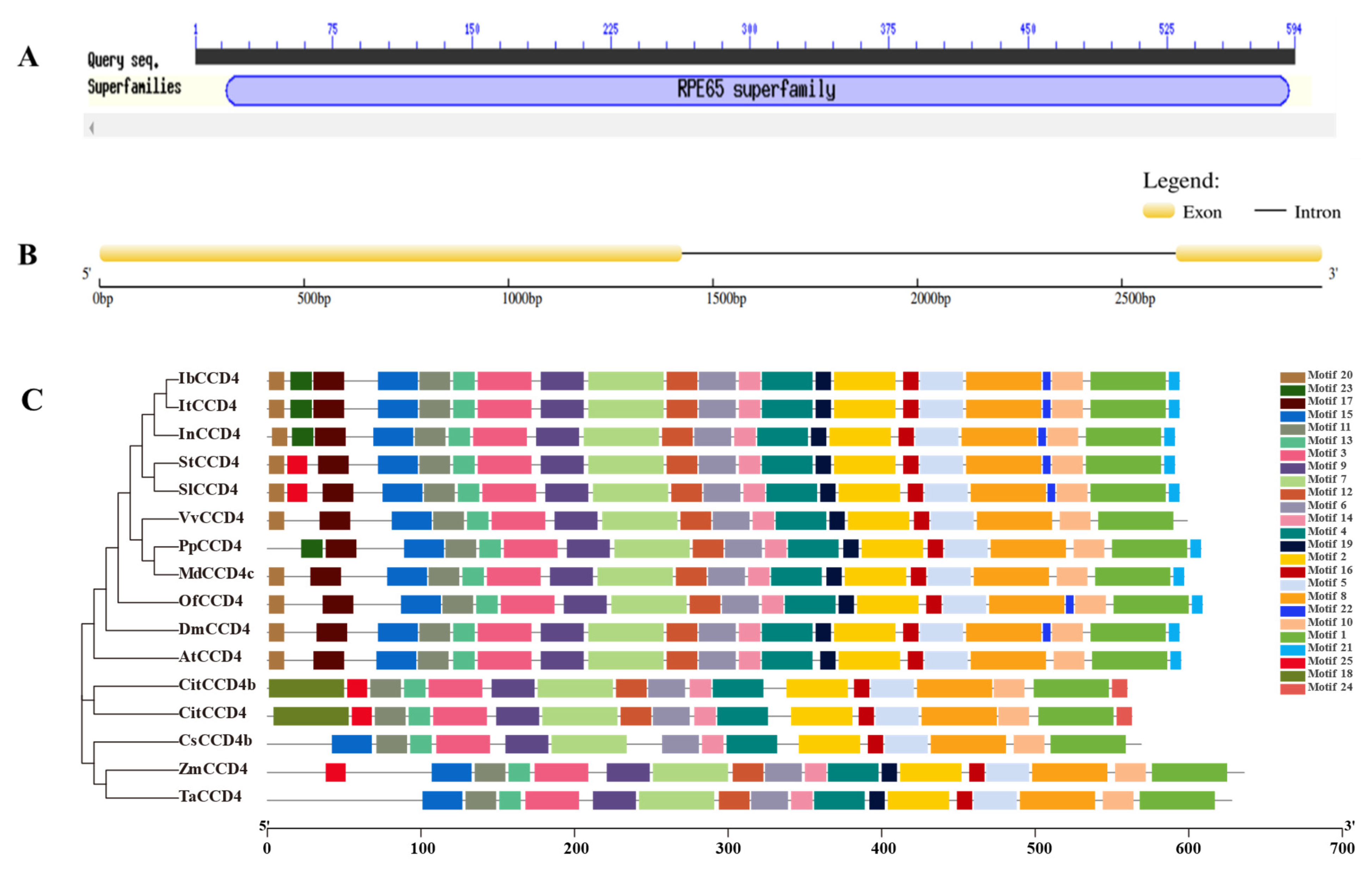 Ijms 23 09963 g001 550