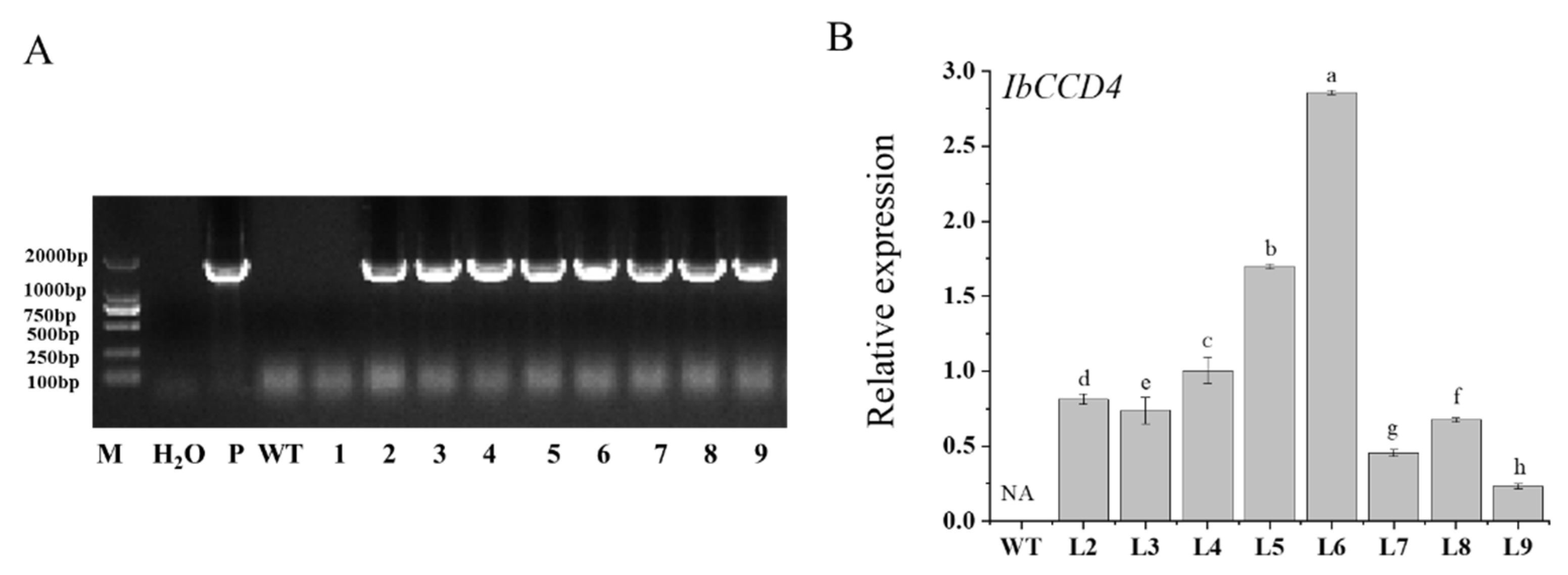 Ijms 23 09963 g003 550