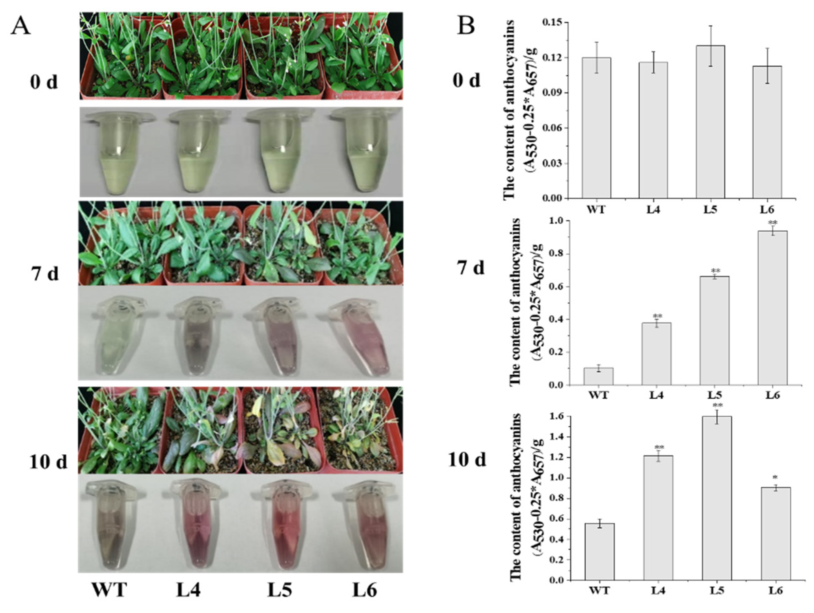 Ijms 23 09963 g005 550