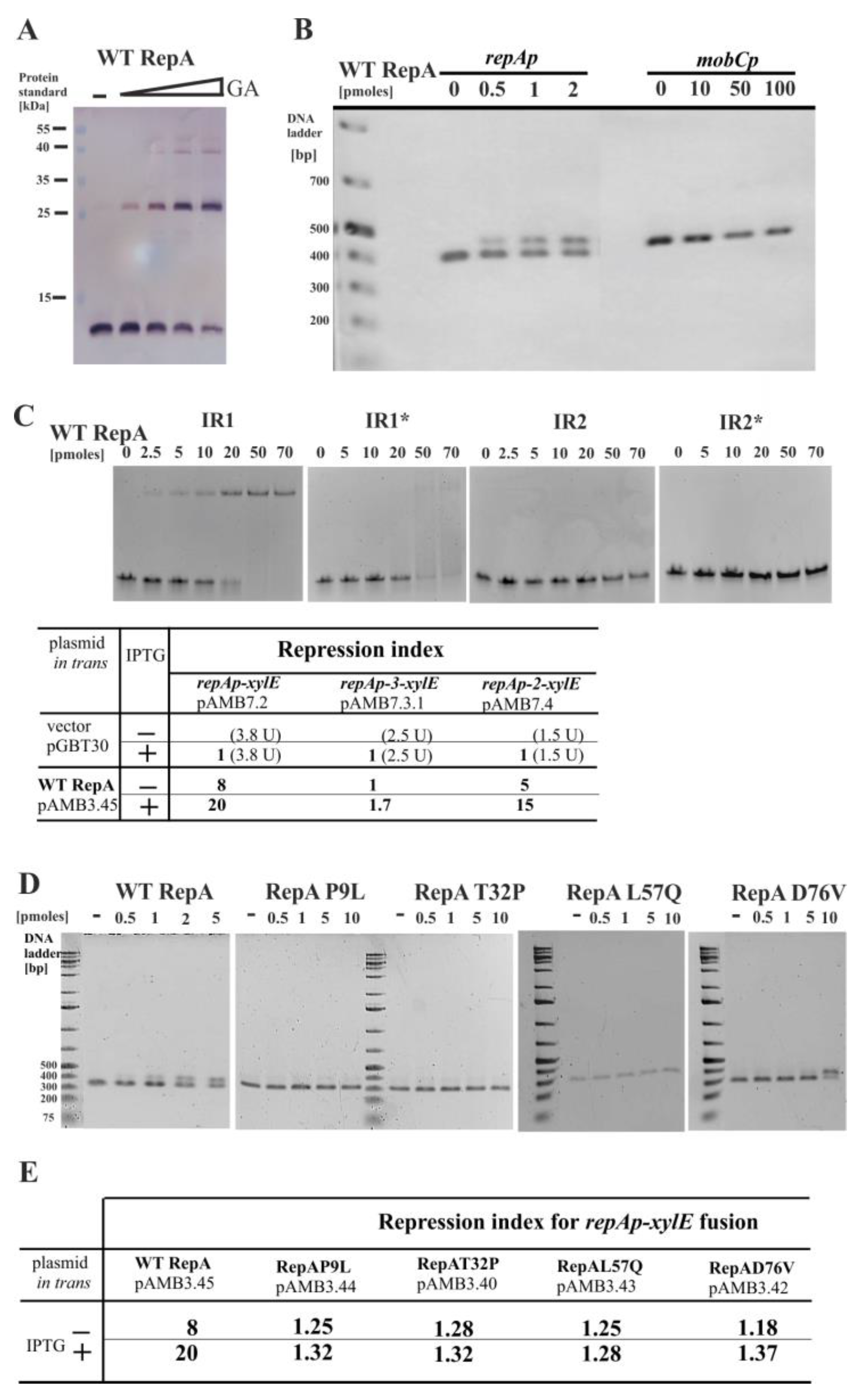 Ijms 23 09964 g006 Ijms 23 09964 g006